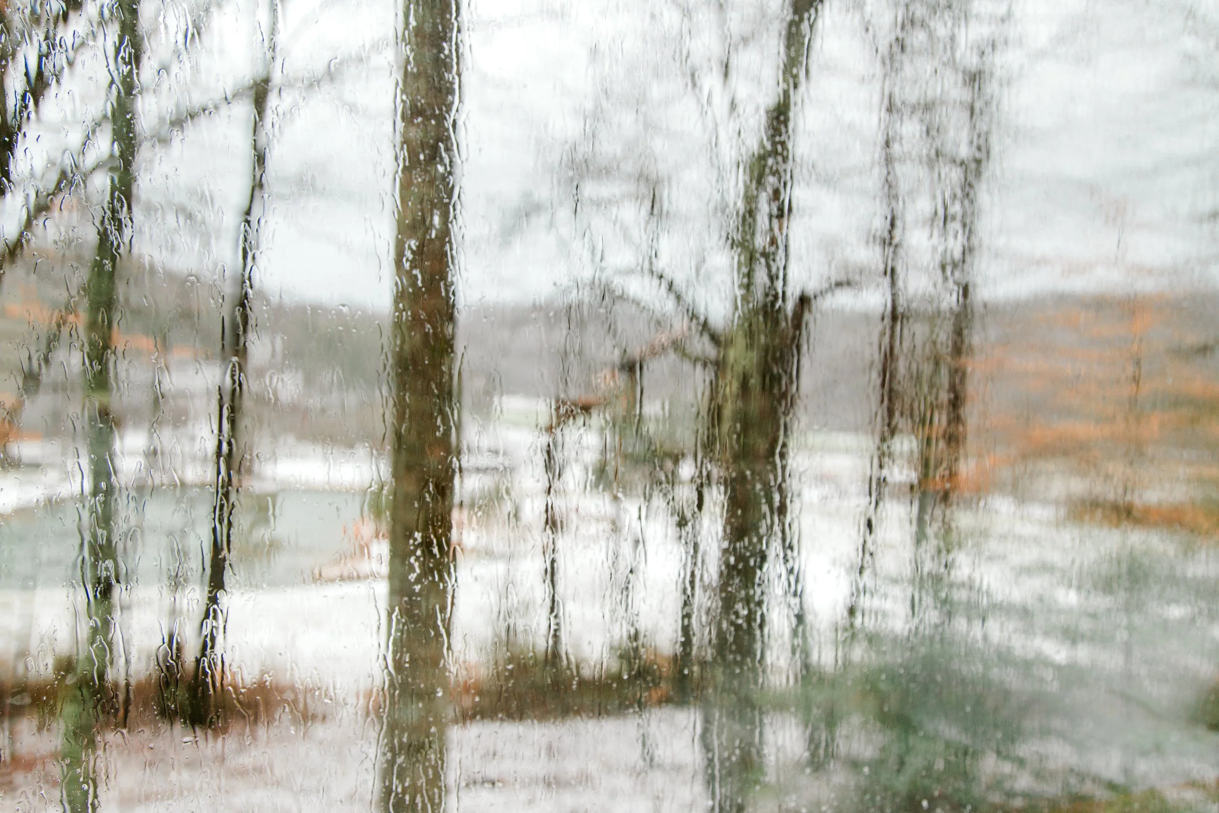 Jessica Sgubin Photography-10.jpg