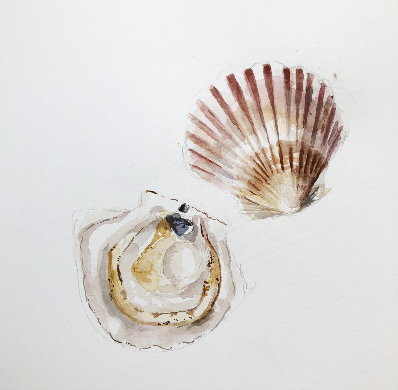 Restaurant Collabs
