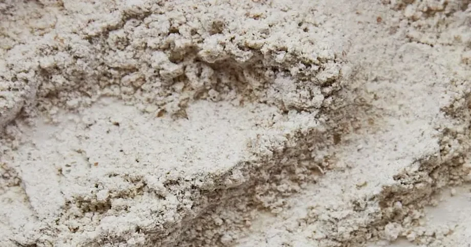 A Guide to Grains &amp; Flours