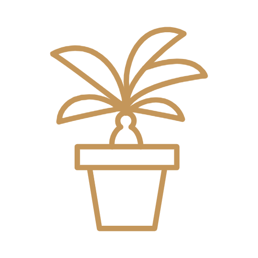 Line drawing of a potted plant with elongated leaves