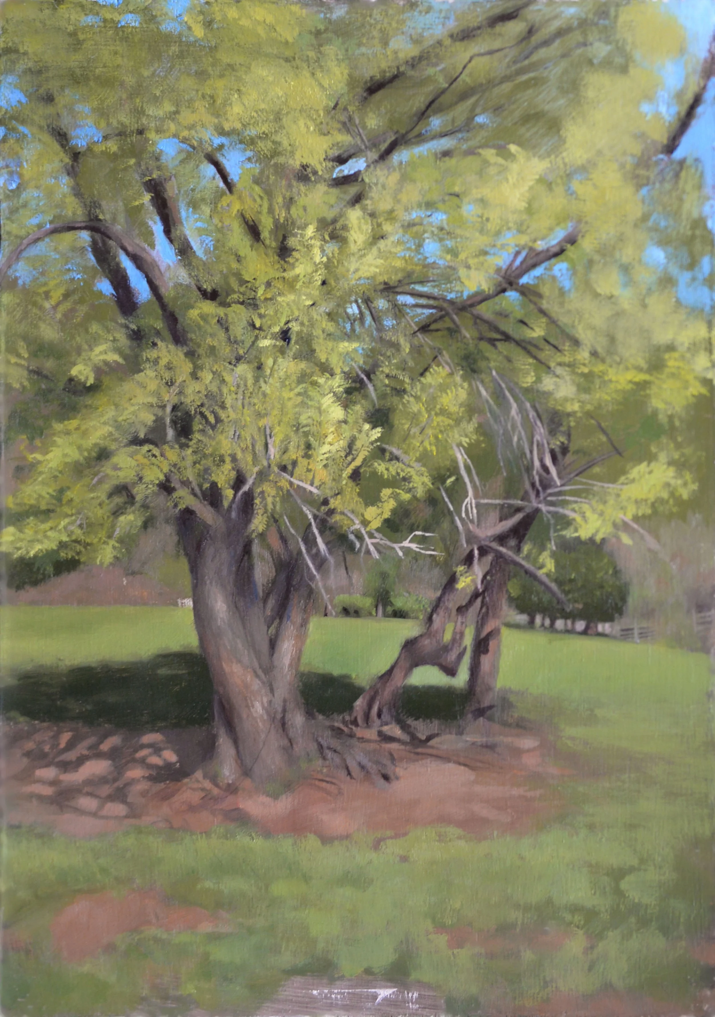 Children's Home Tree.jpg
