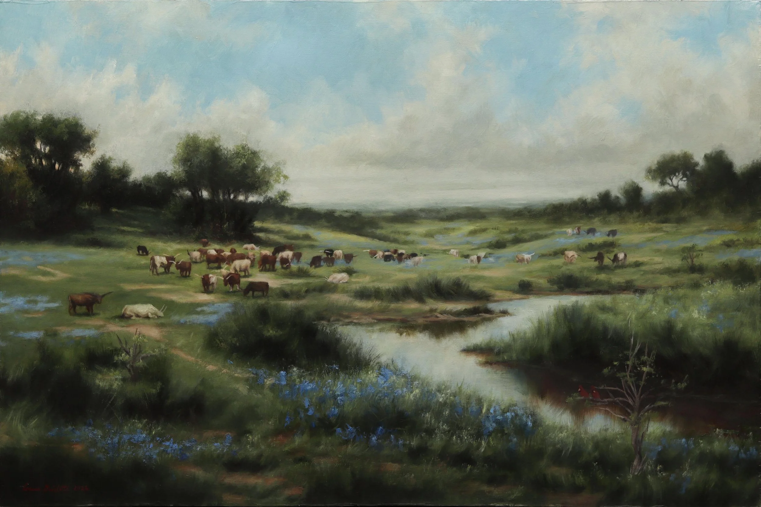 Texas Landscape copy.jpg