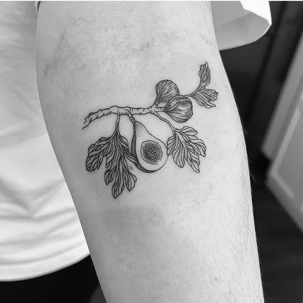 Fine Line Tattoo - fig tree tattoo