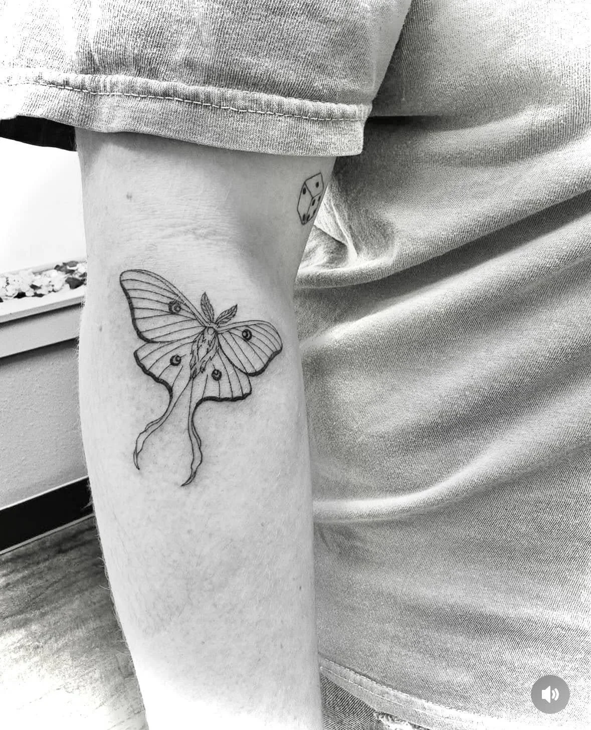 Fine Line Tattoo - moth tattoo