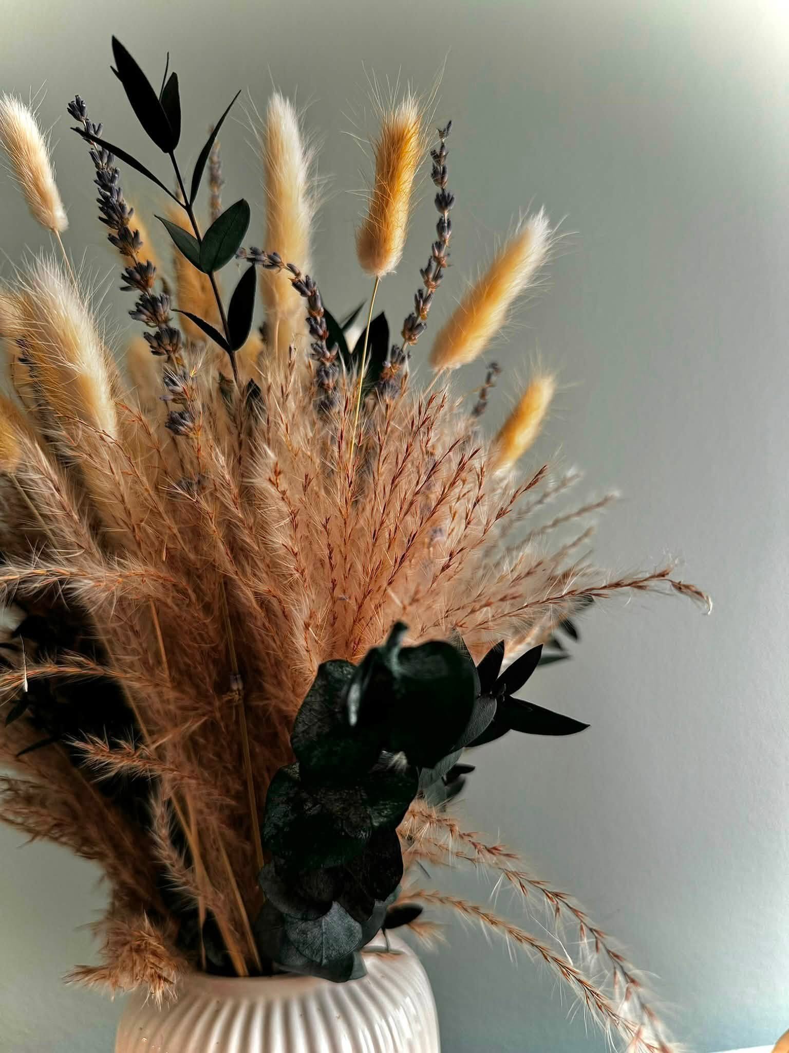 Anchors Studio (decor)