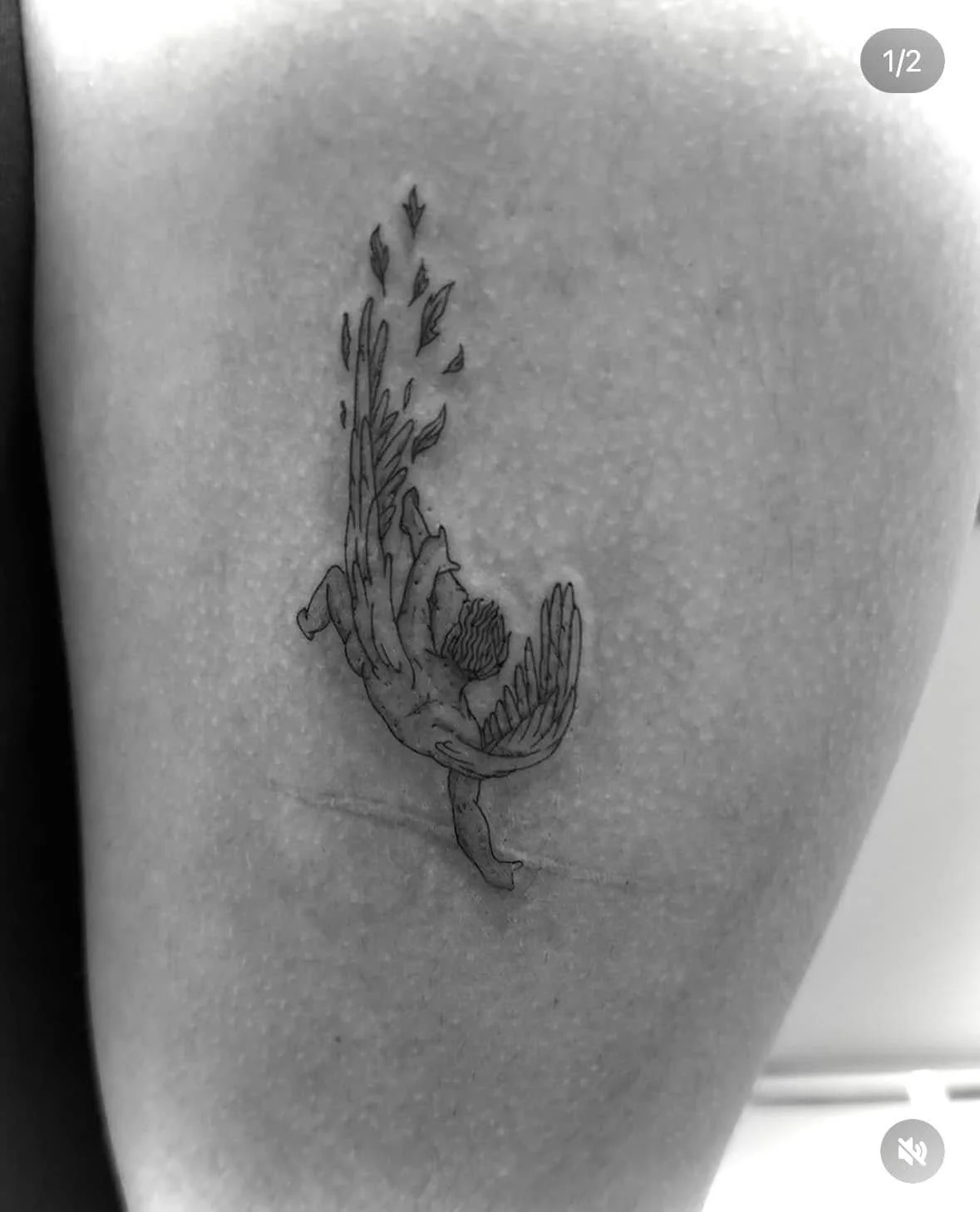 Fine Line Tattoo - icarus tattoo