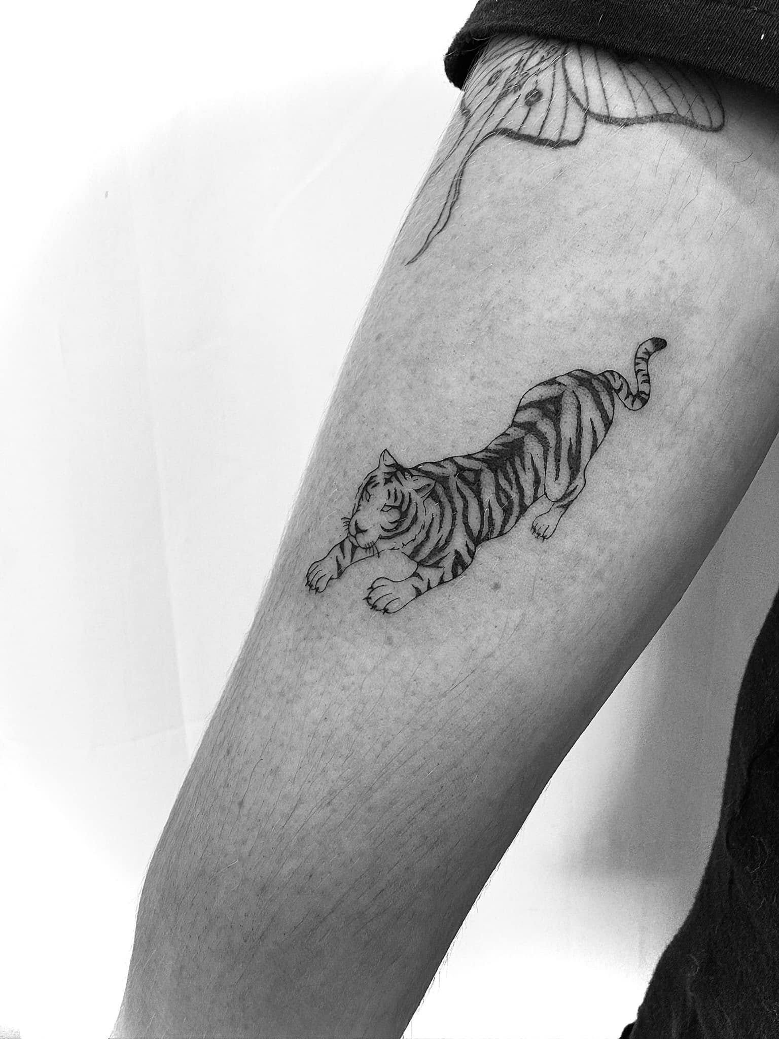 Fine Line Tattoo - tiger tattoo