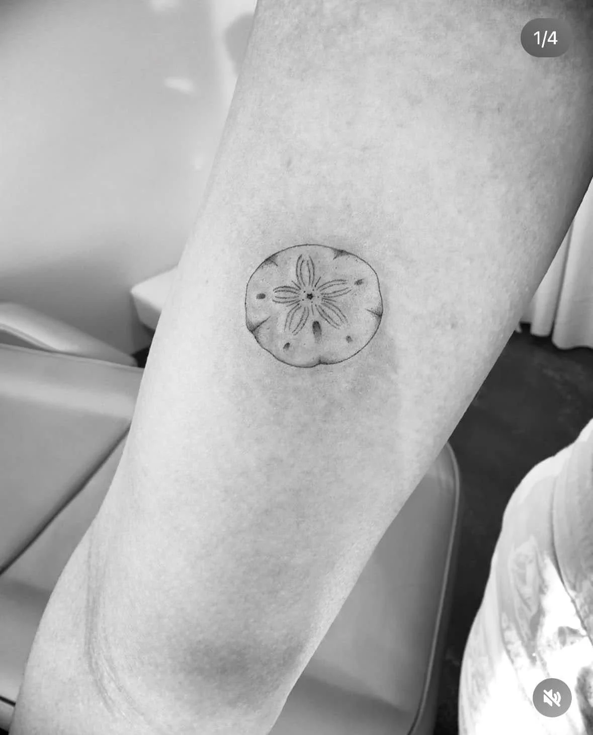 Fine Line Tattoo - sand dollar tattoo