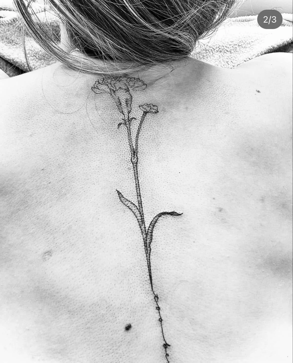 Fine Line Tattoo - floral spine tattoo