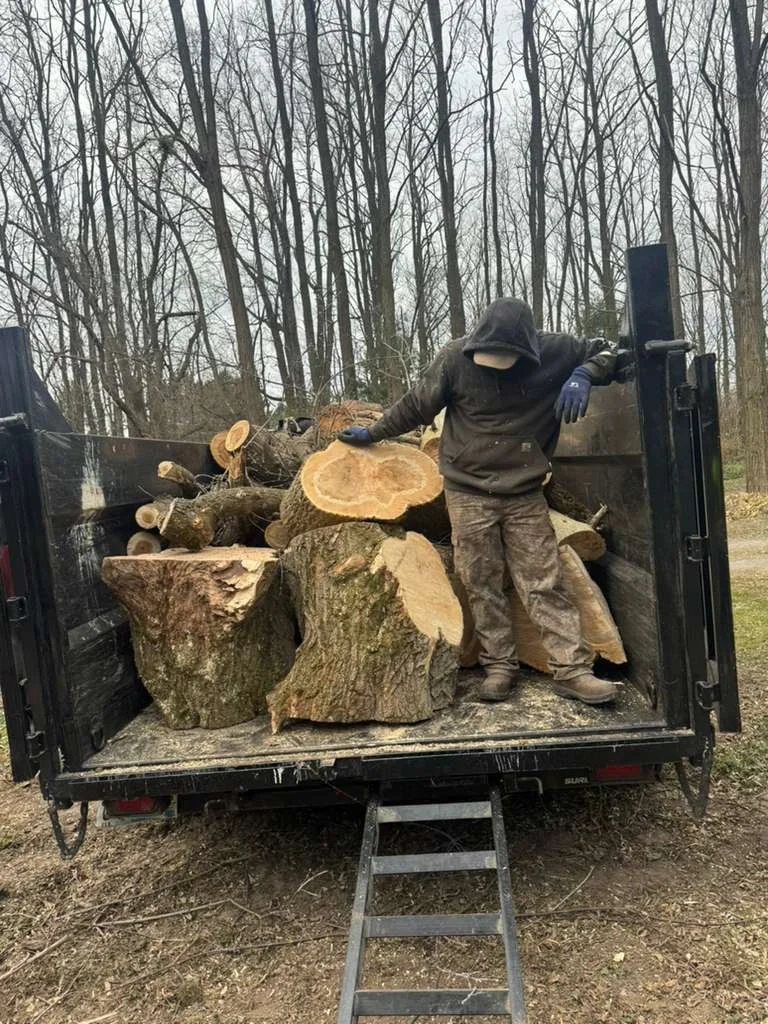 Storm Damage Tree Clean up Maple Grove