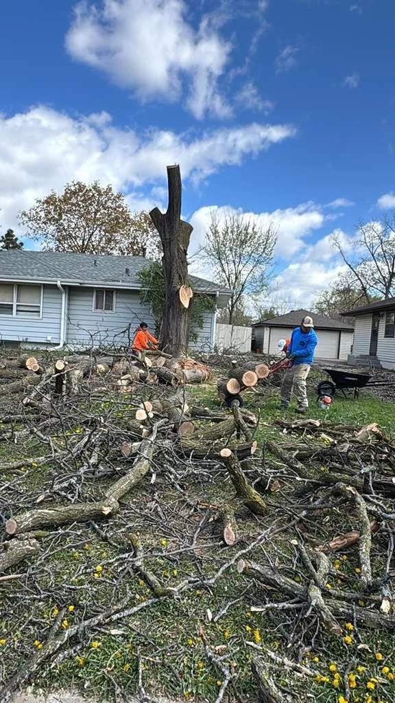 Two workers cutting fallen tree branches and logs in a backyard, with a large tree stump and a house in the background, under a partly cloudy sky.