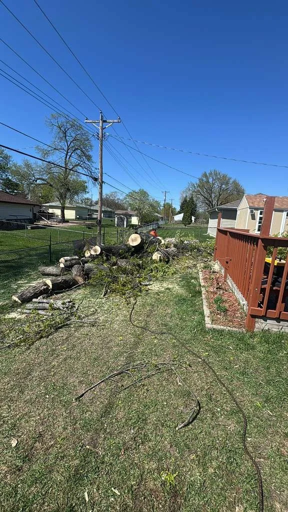 Fallen tree branches and trunk in a backyard with a house and a fence, under a clear blue sky.