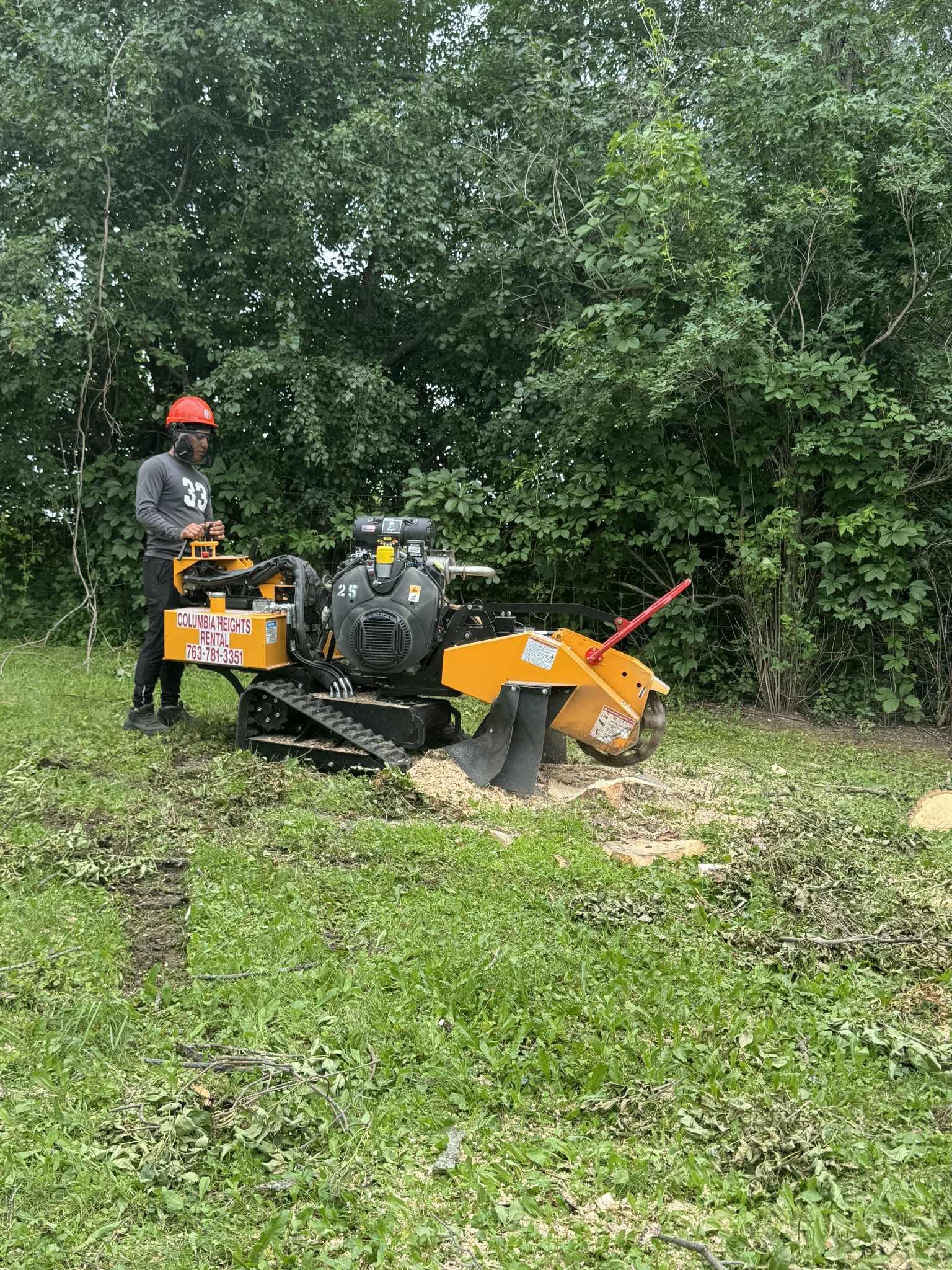 A person wearing a red safety helmet and grey long sleeve shirt operating a yellow brush chipper in a green outdoor area with dense trees and bushes.