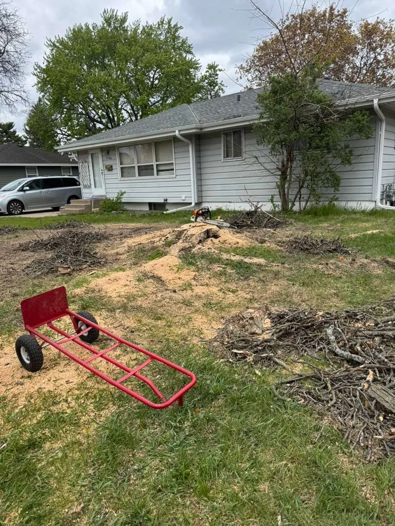 A backyard with a small pile of branches, a red sled lying on the ground, and a chainsaw resting on a tree stump near a house with gray siding and a gray roof. There are two trees, one with early green leaves and one with sparse branches. A car is pa