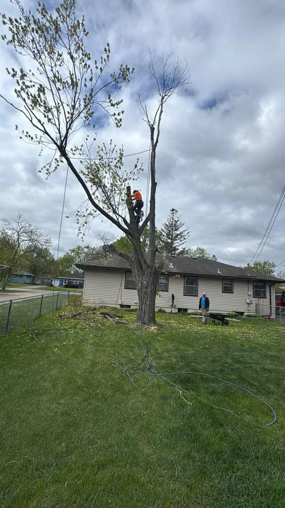 A worker in an orange safety vest is trimming a tall tree near a house in a residential neighborhood on a cloudy day.