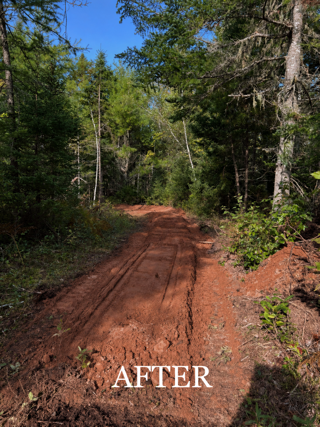 “After photo of restored woodland access trail following clearing and grading work in Prince Edward Island”