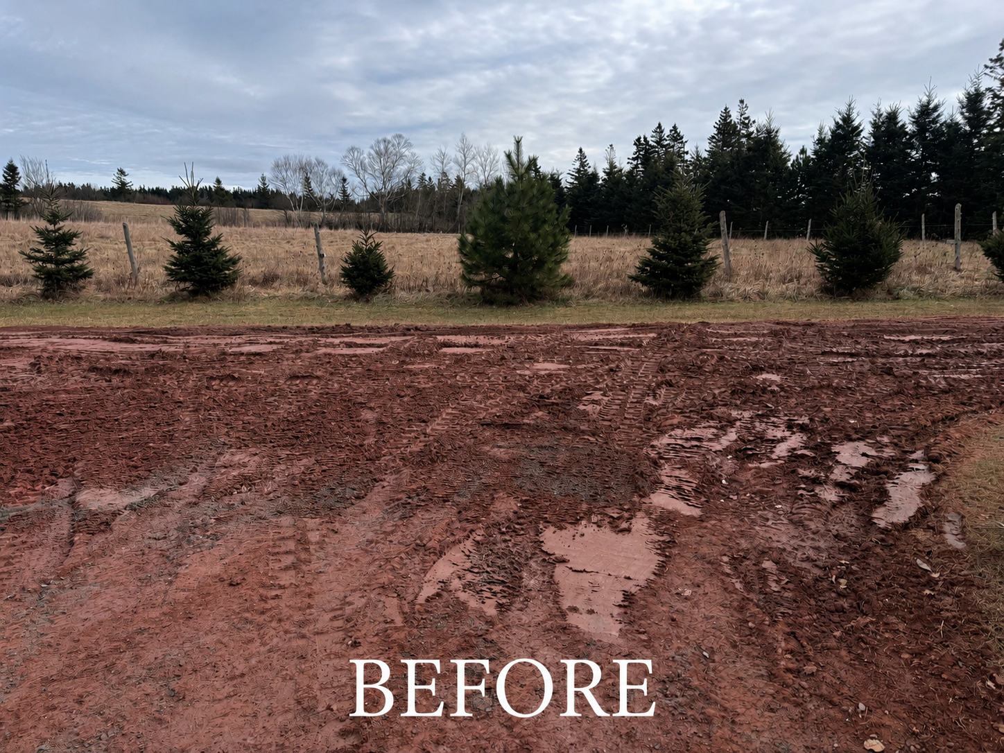“Before photo of muddy and damaged rural property lane before restoration work in Prince Edward Island”