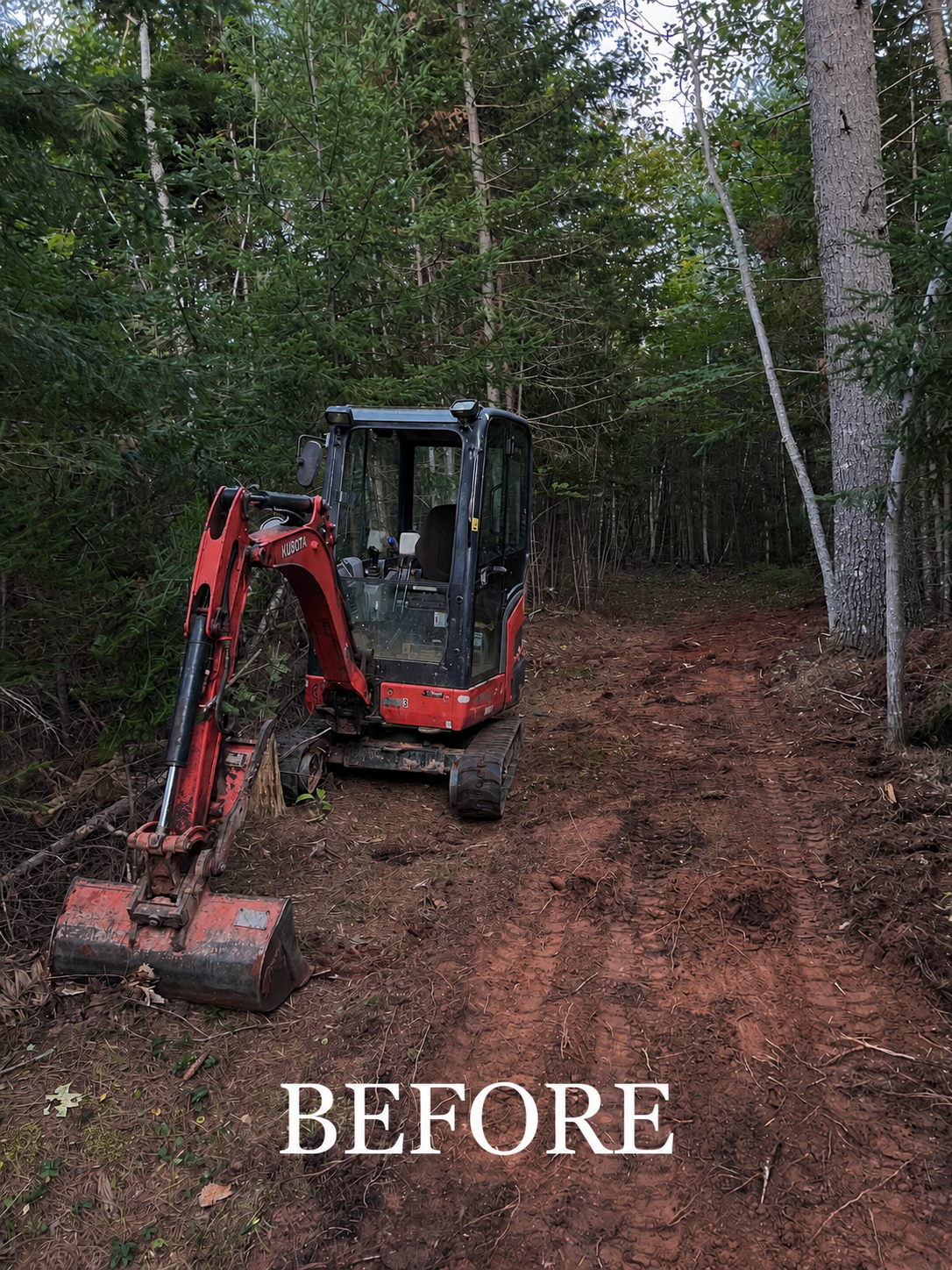 “Mini excavator positioned on an overgrown woodland access trail before restoration work in Prince Edward Island”