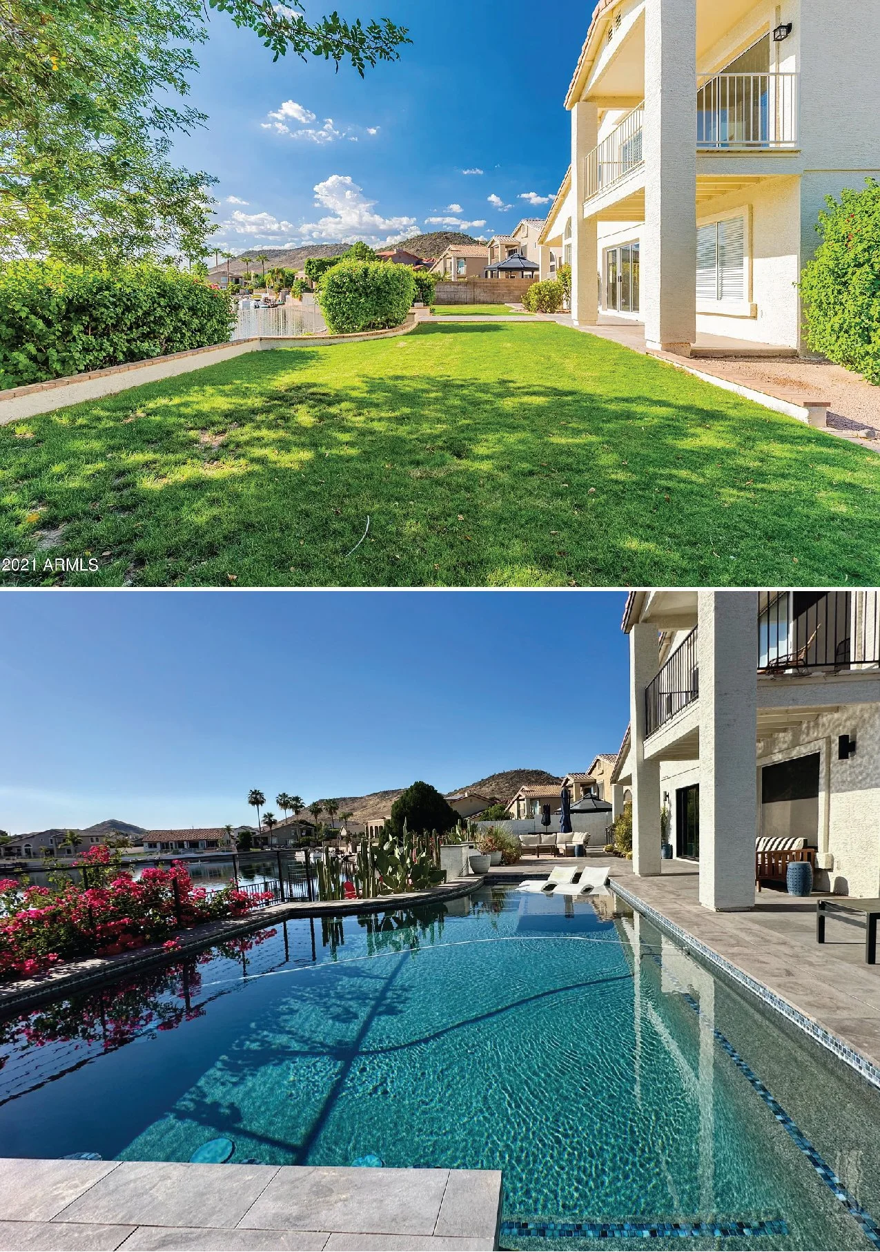 backyard 3.jpg