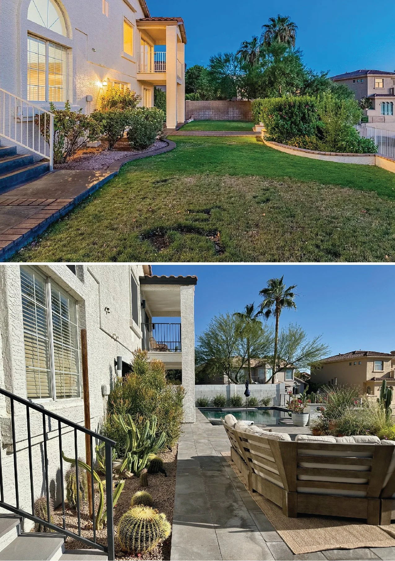 backyard 1.jpg