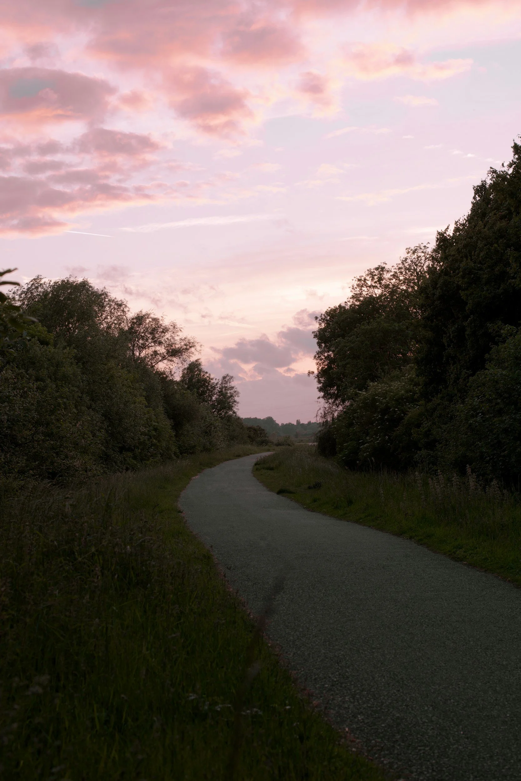 A winding path through a lush green landscape with tall trees on either side, under a colorful sky at sunset with pink and purple clouds.