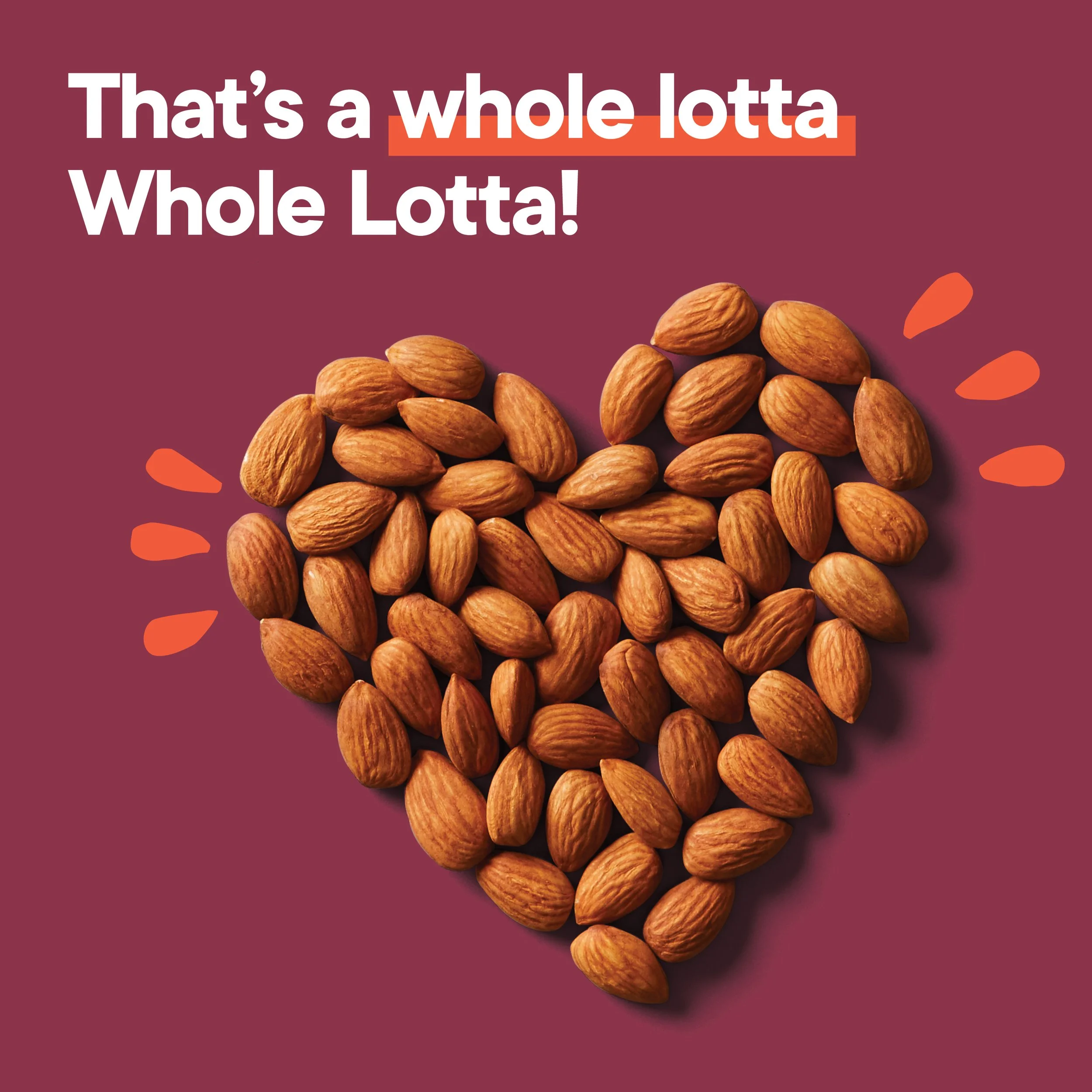 18726001_WLO_TCA_12ct_crsl_05_wholelotta.jpg