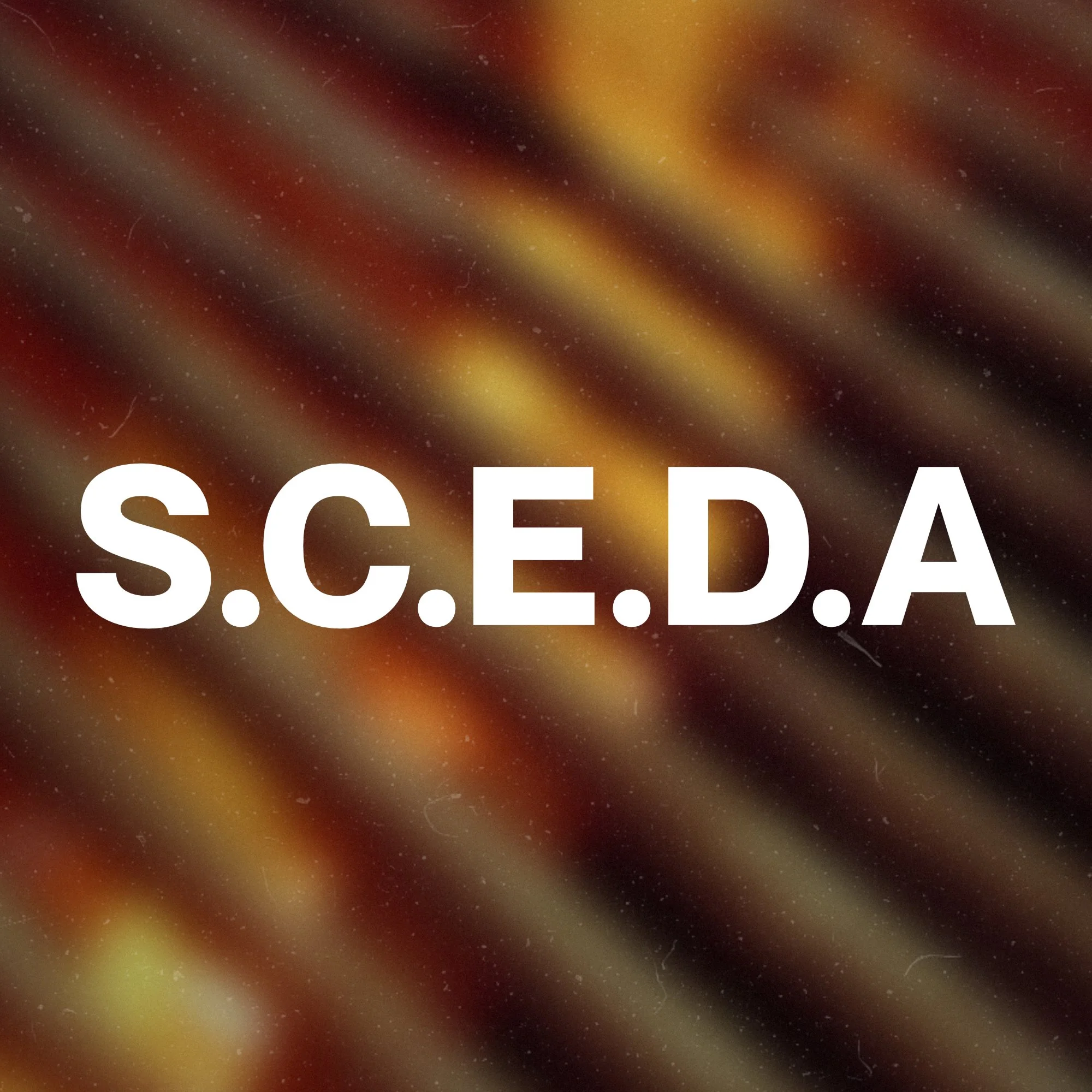 THE S.C.E.D.A PROCESS