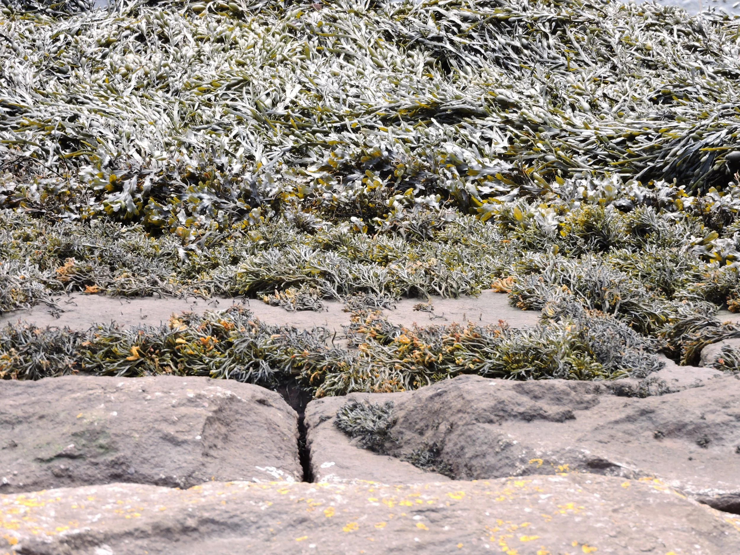 DSCN4351.JPG