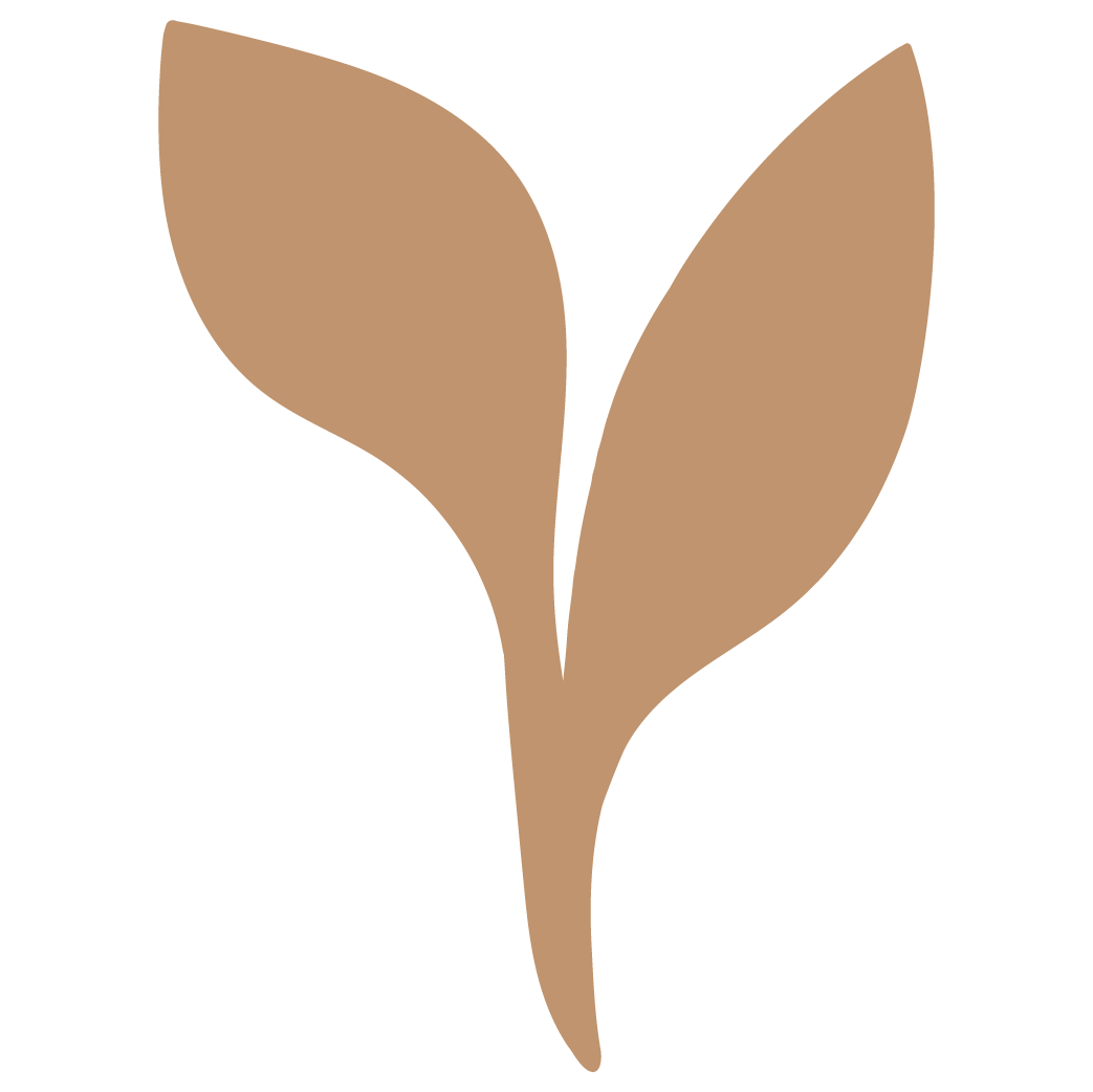 Minimalist illustration of a plant with three brown leaves.