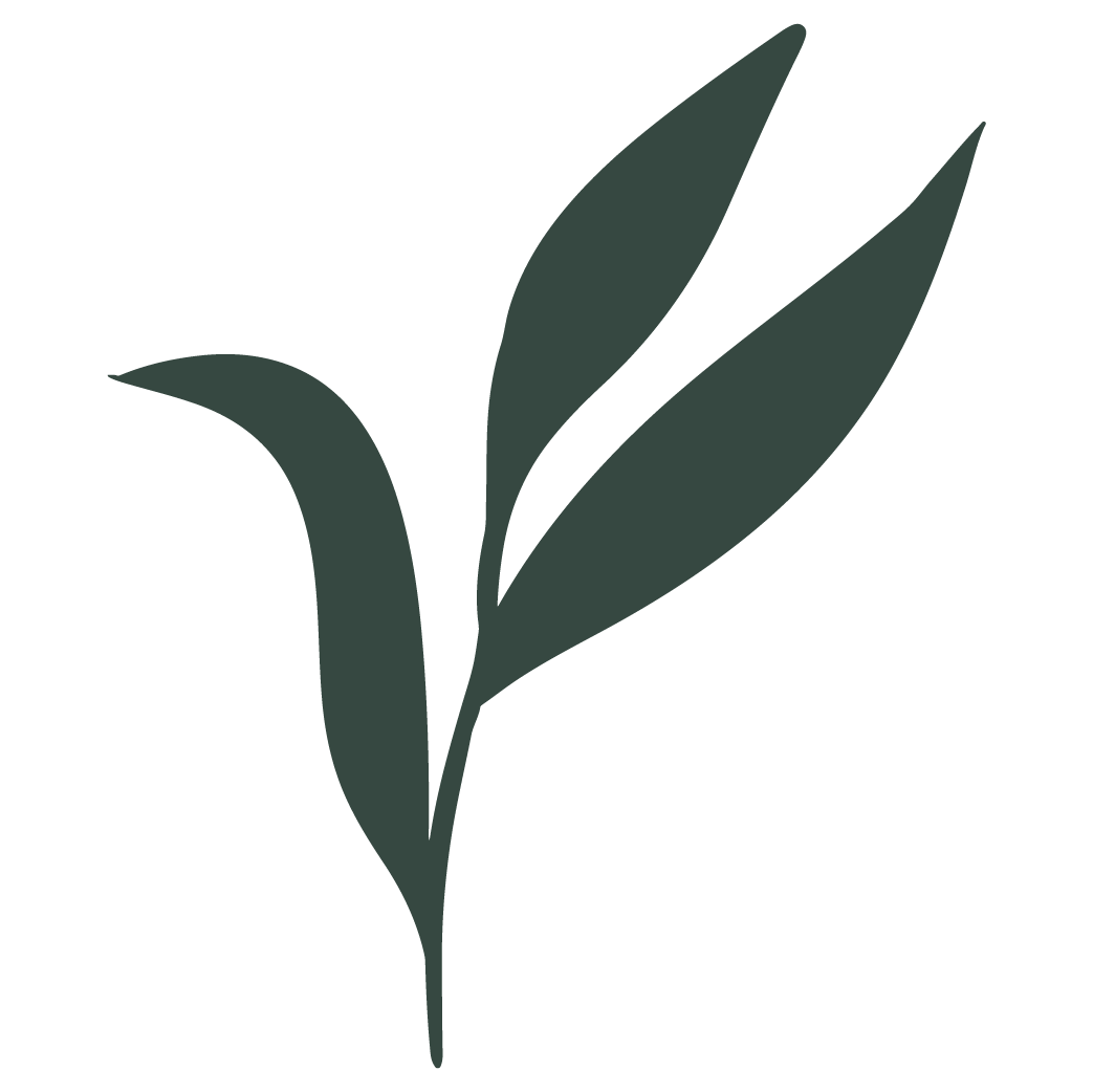 Silhouette of a plant with three leaves in dark green color.