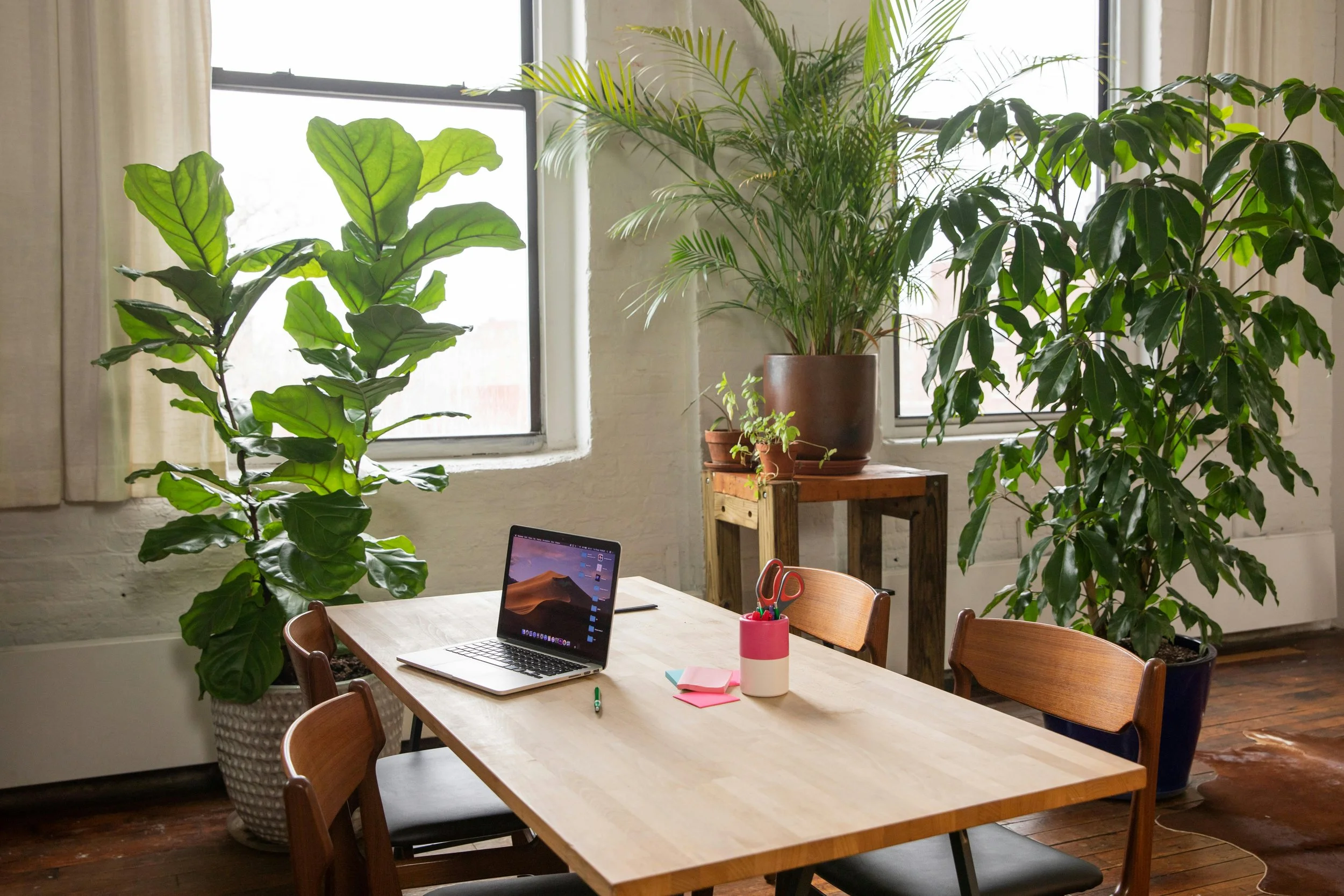 A bright room with large windows and potted plants. A wooden table has a laptop, a pink and white cup, pink sticky notes, and pens. Chairs are around the table, and the room has wooden floors and light curtains.