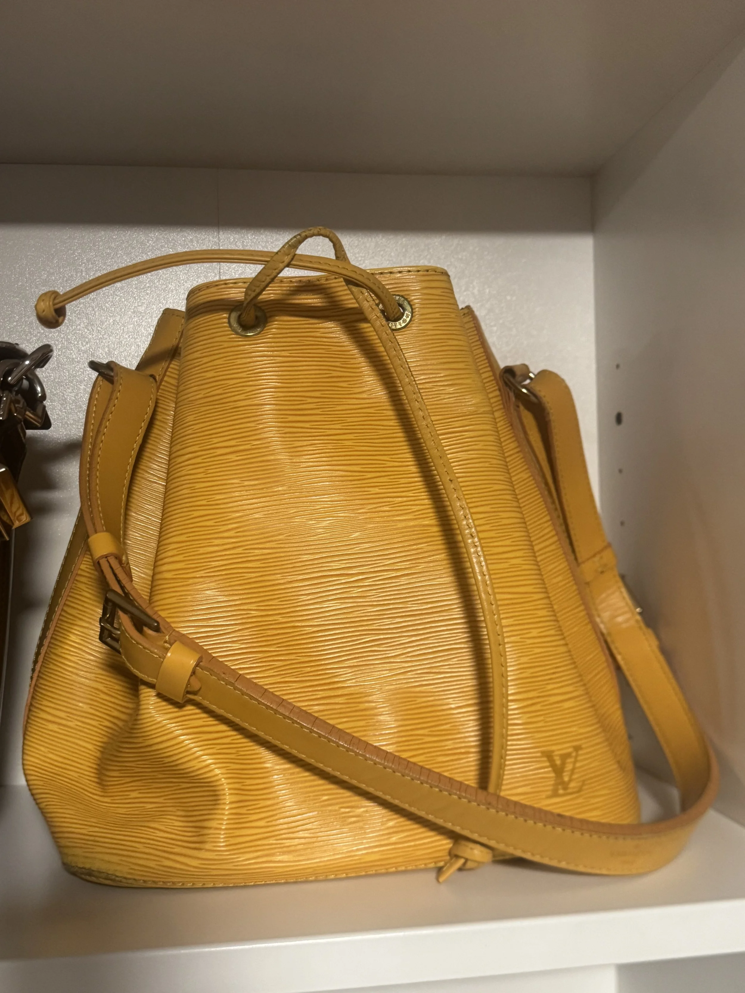 LV yellow with purple interior Epi Noe