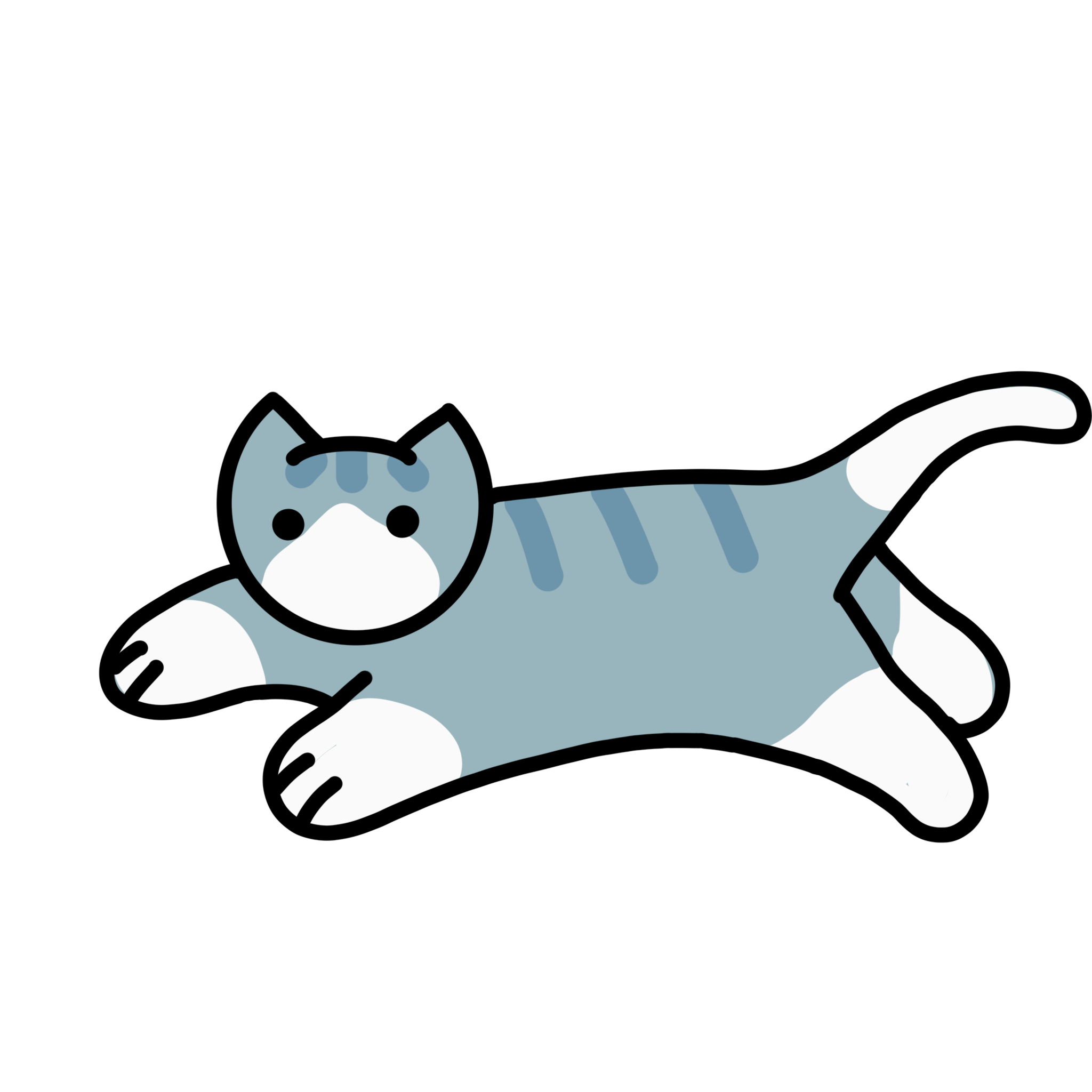 Gray Small Cat