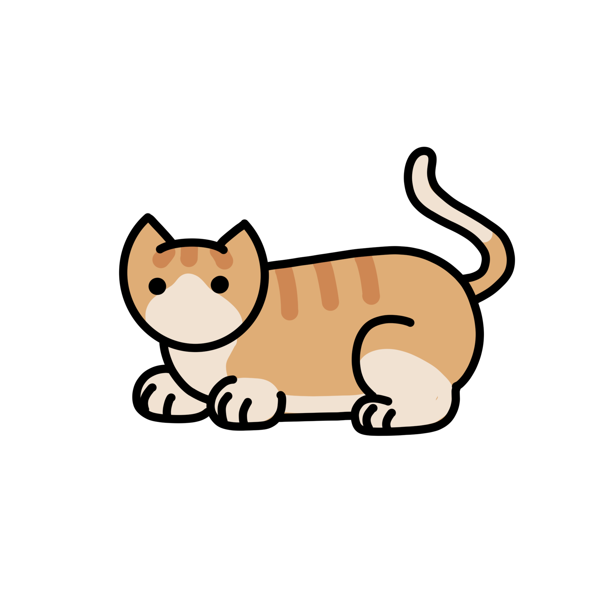 Orange Small Cat