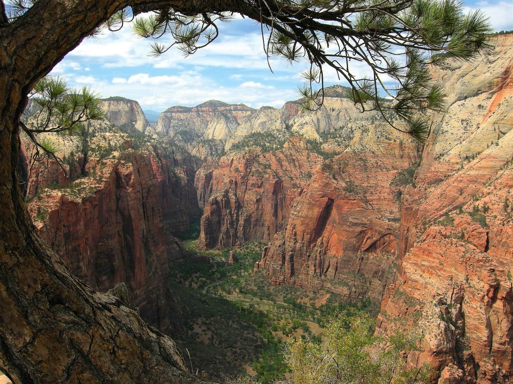 View from Angels Landing in Zion National Park with red rock cliffs and no people
