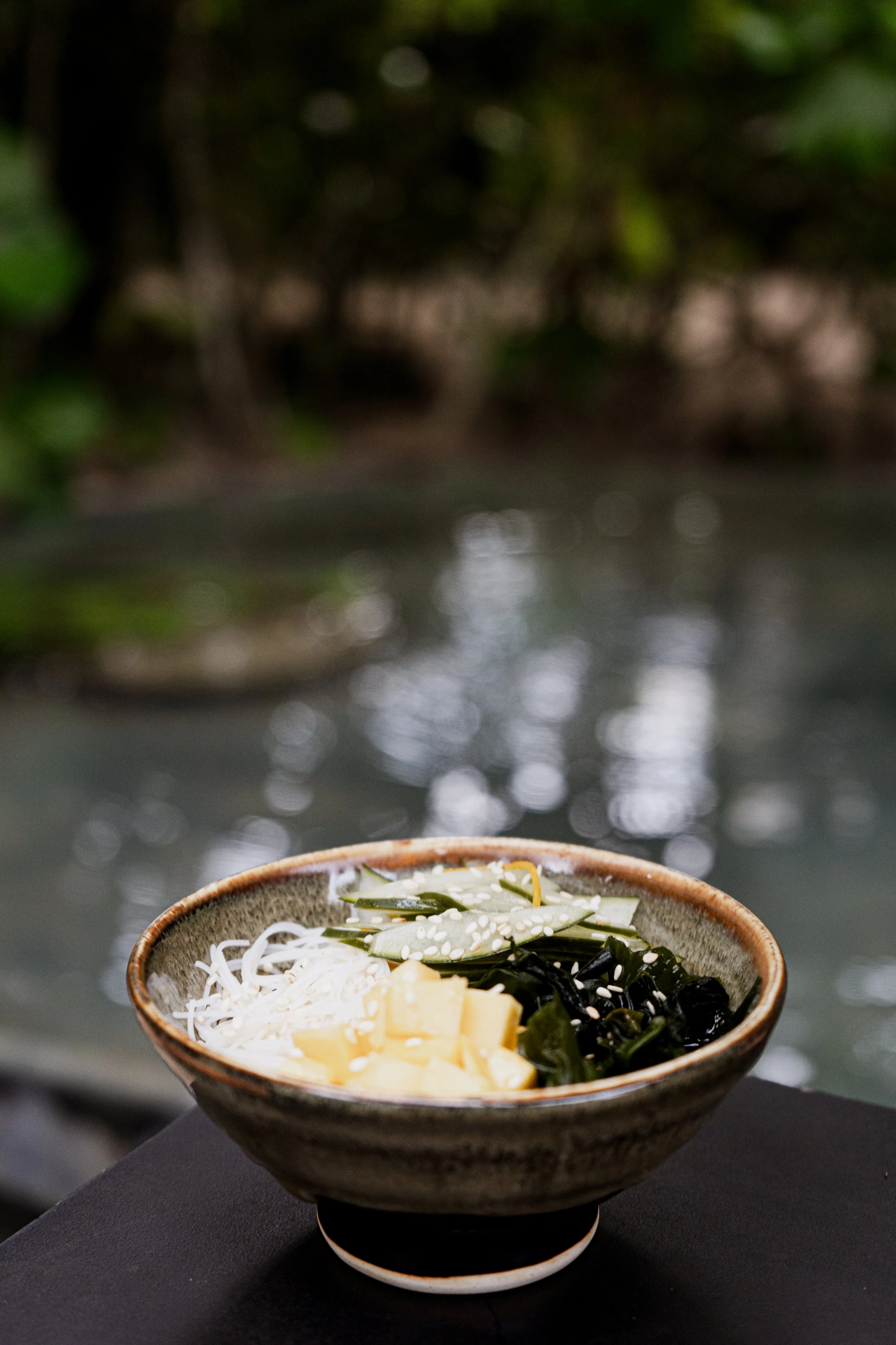 Japanese seaweed salad with cucumber, sesame and fresh ingredients served beside the jungle at REMU in Tulum.