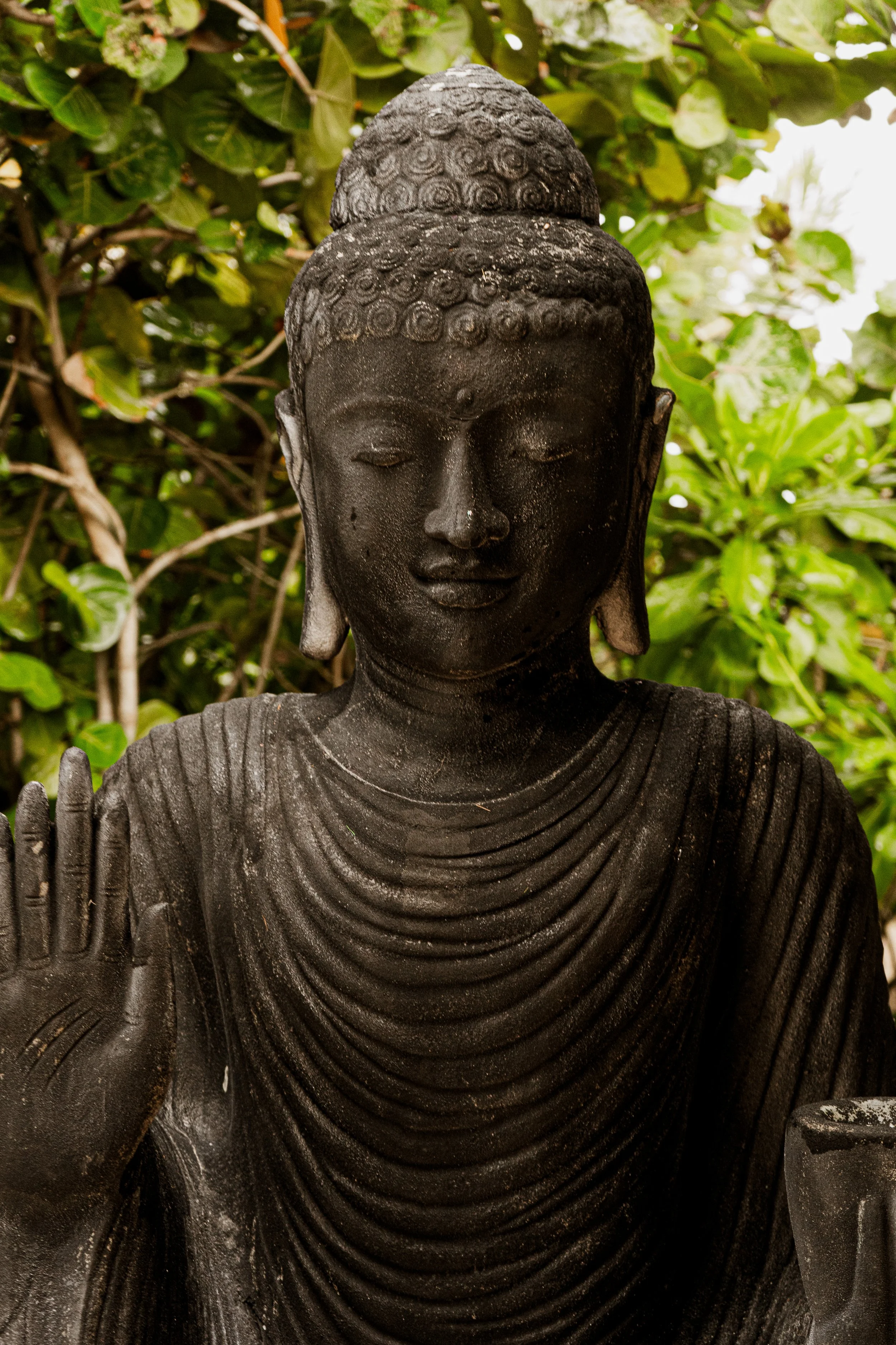 Black Buddha statue surrounded by tropical jungle greenery at REMU matcha and sushi bar in Tulum.