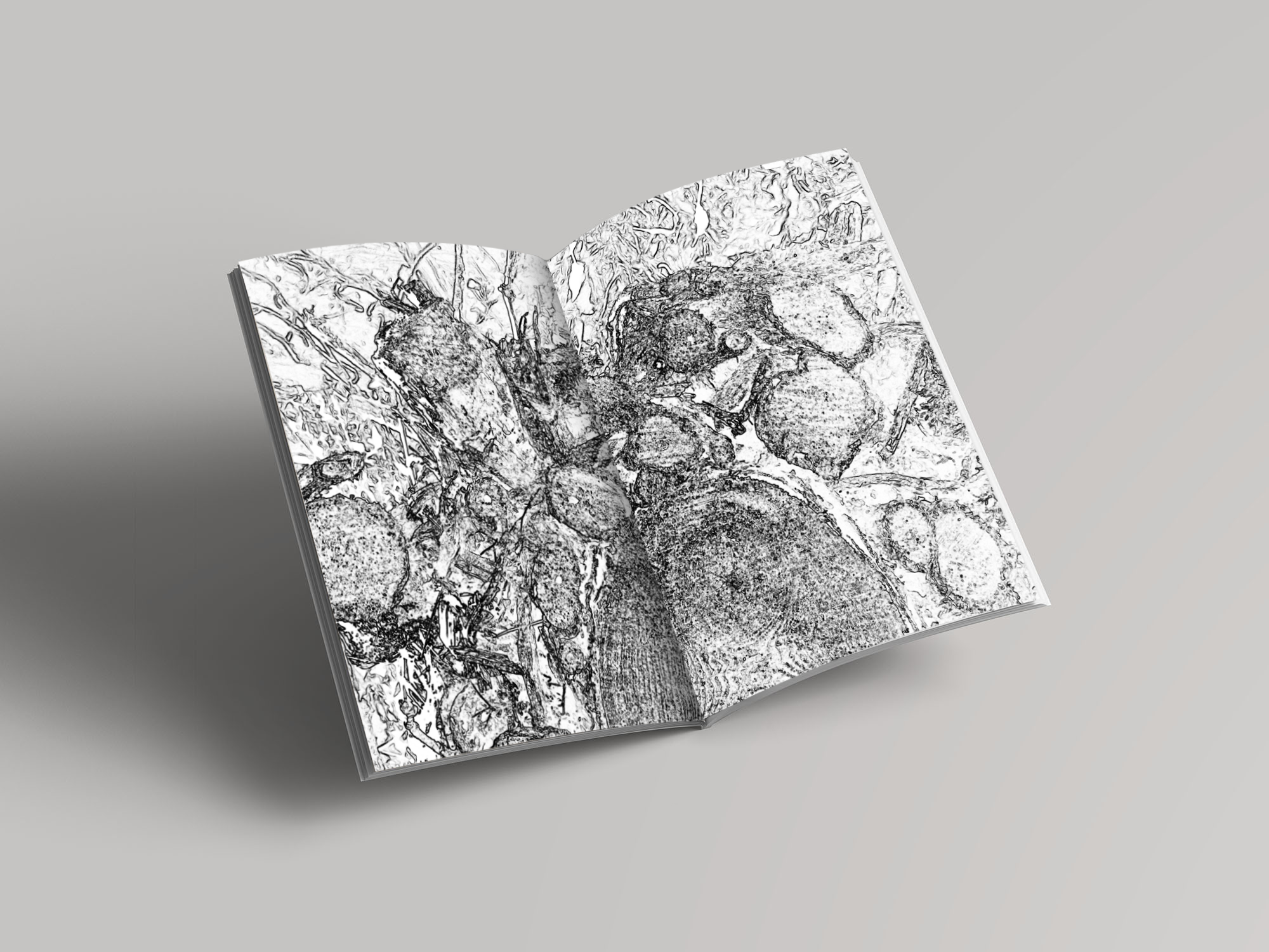 Mock Up 1.png