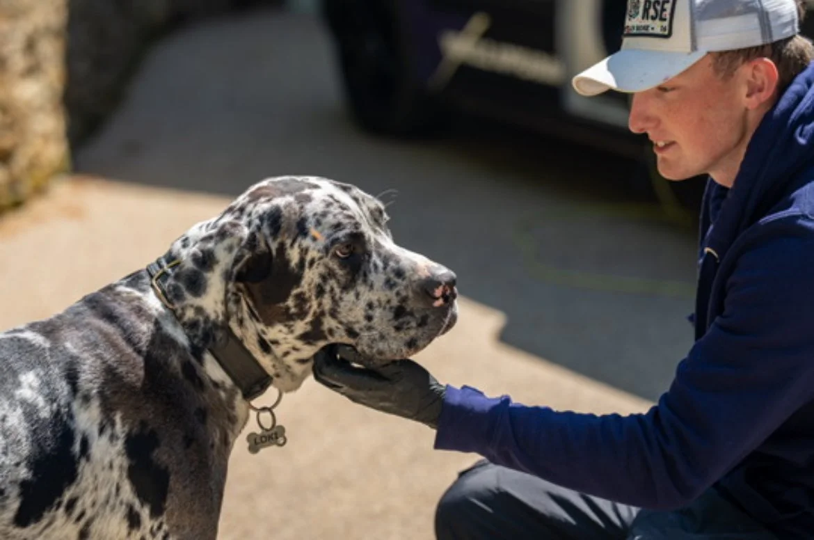 Adam milner a local detailer from Tunbridge Wells interacting with a customers pet and showing how friendly this detailing company is