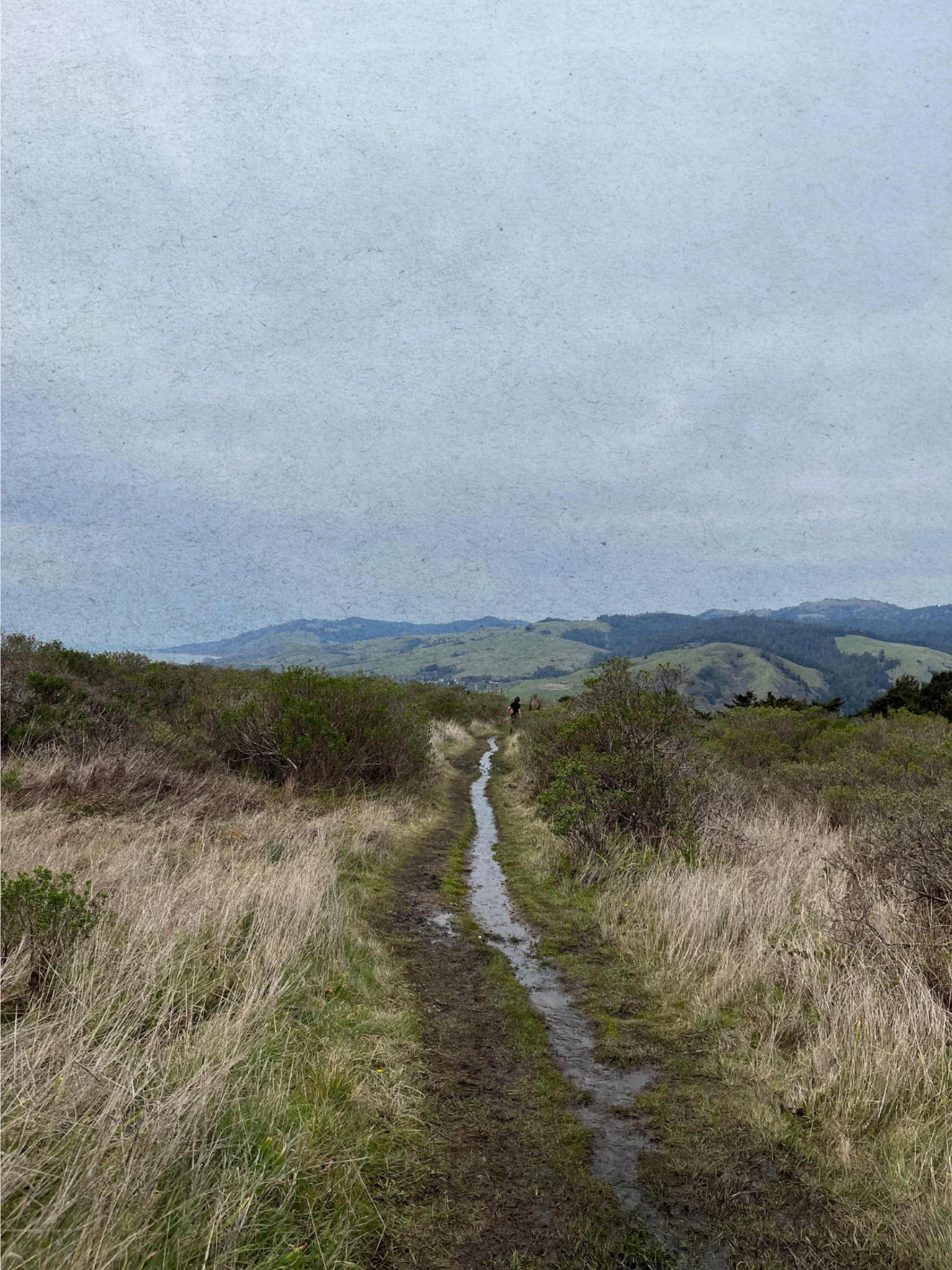 3 dirt paths stretching through open grassland toward rolling green hills under a misty sky