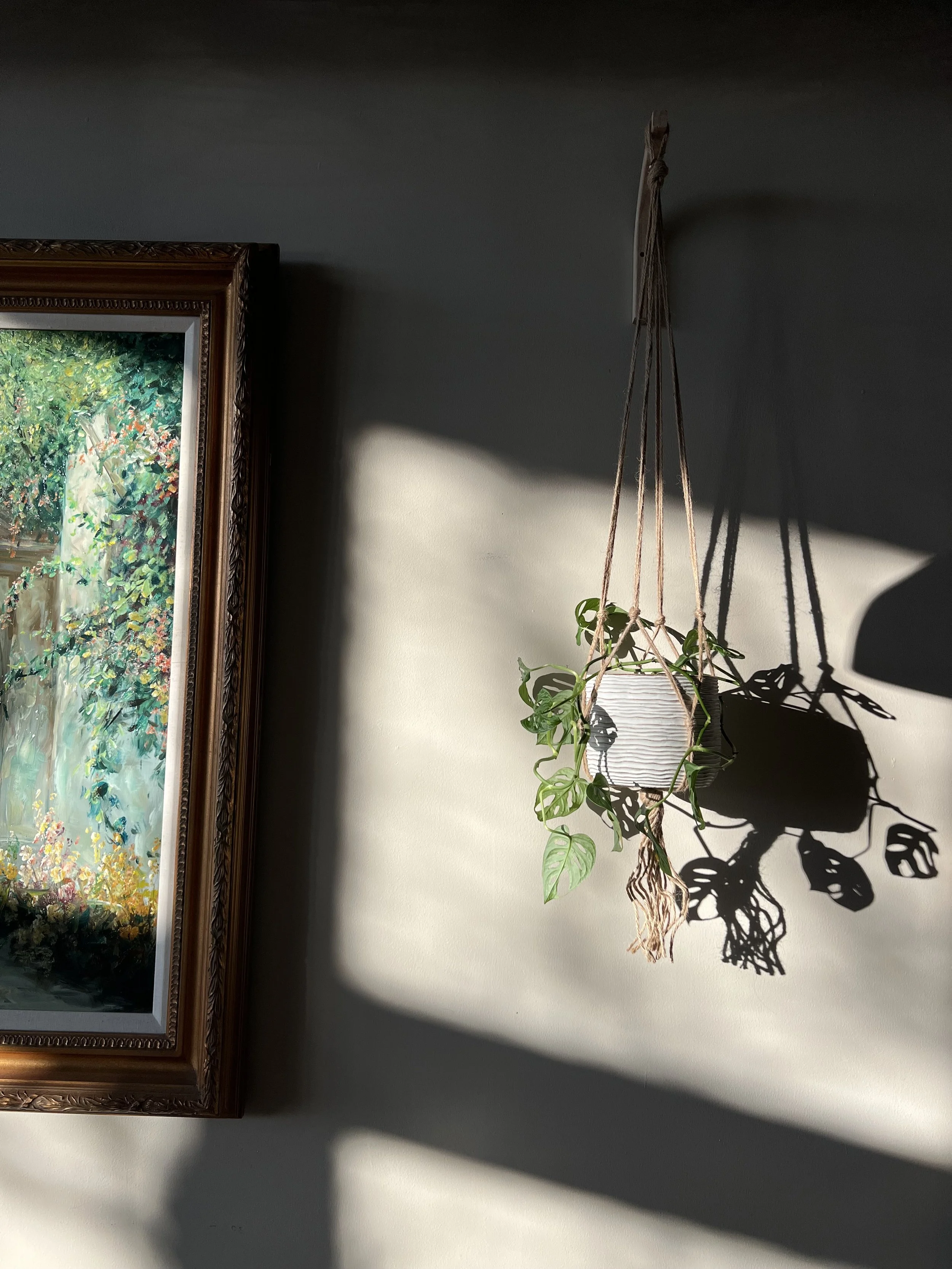 A hanging potted plant in a white pot with green leaves casting a shadow on a light-colored wall, adjacent to a colorful framed painting with trees and foliage.