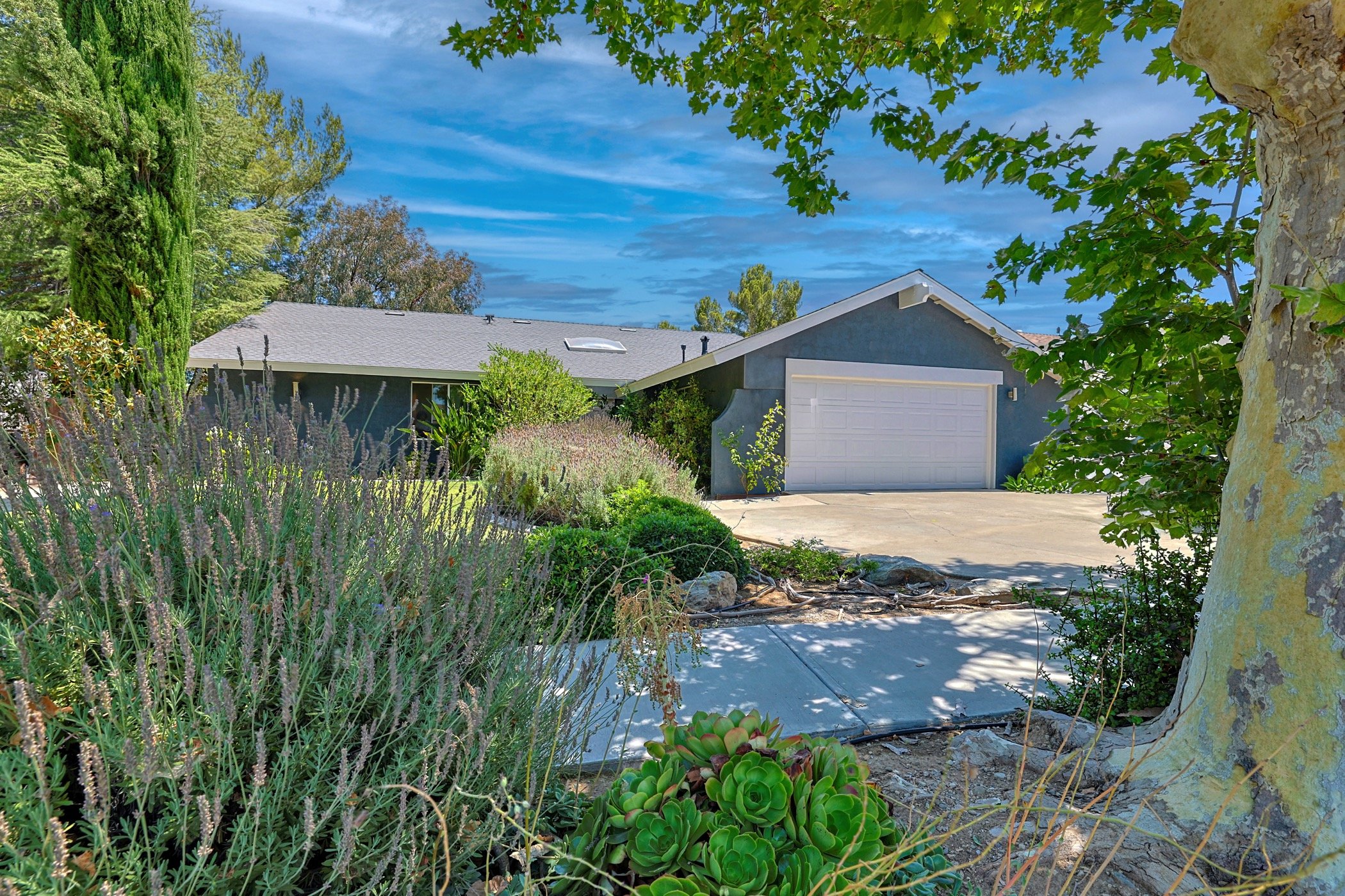 003_Canones Circle_072225_HDR copy.jpeg