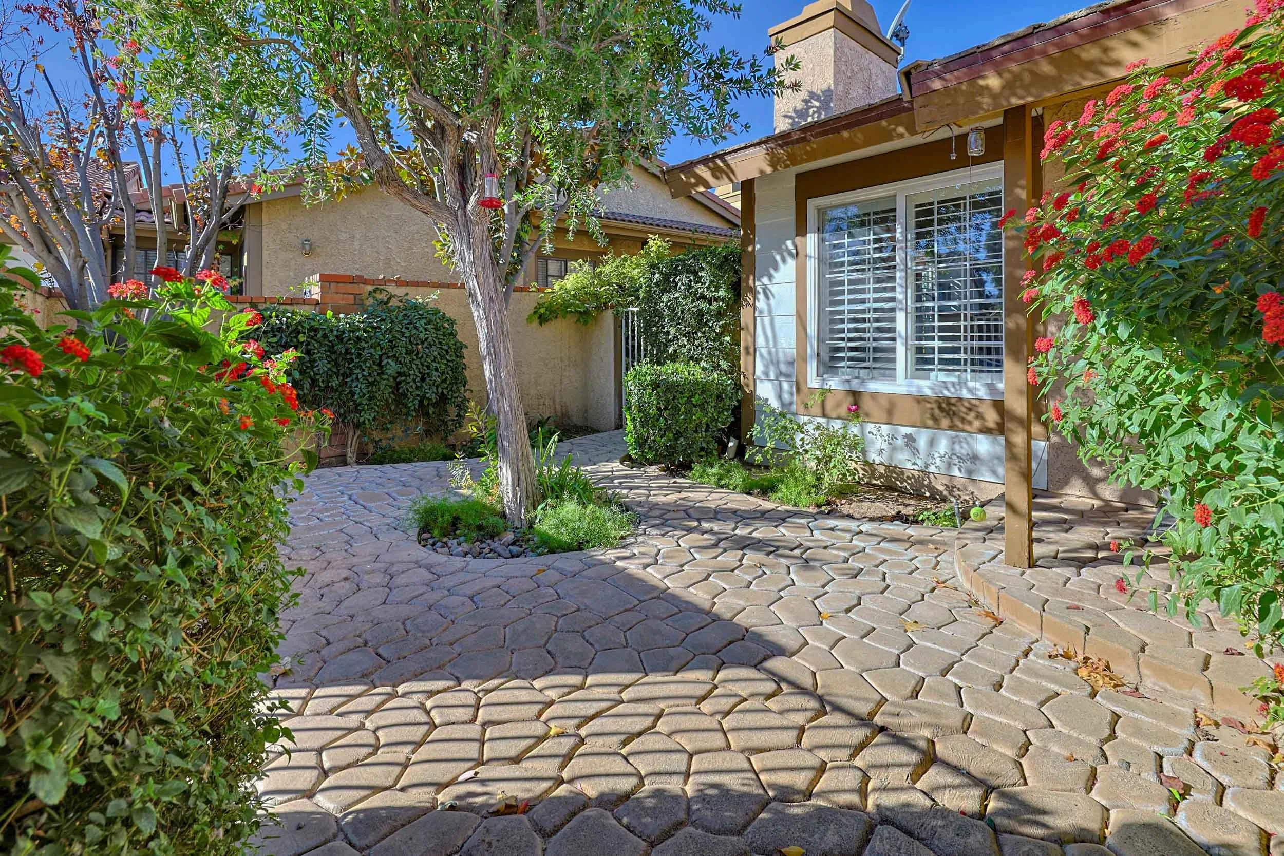 004_Lupita Drive_121024_HDR.jpeg