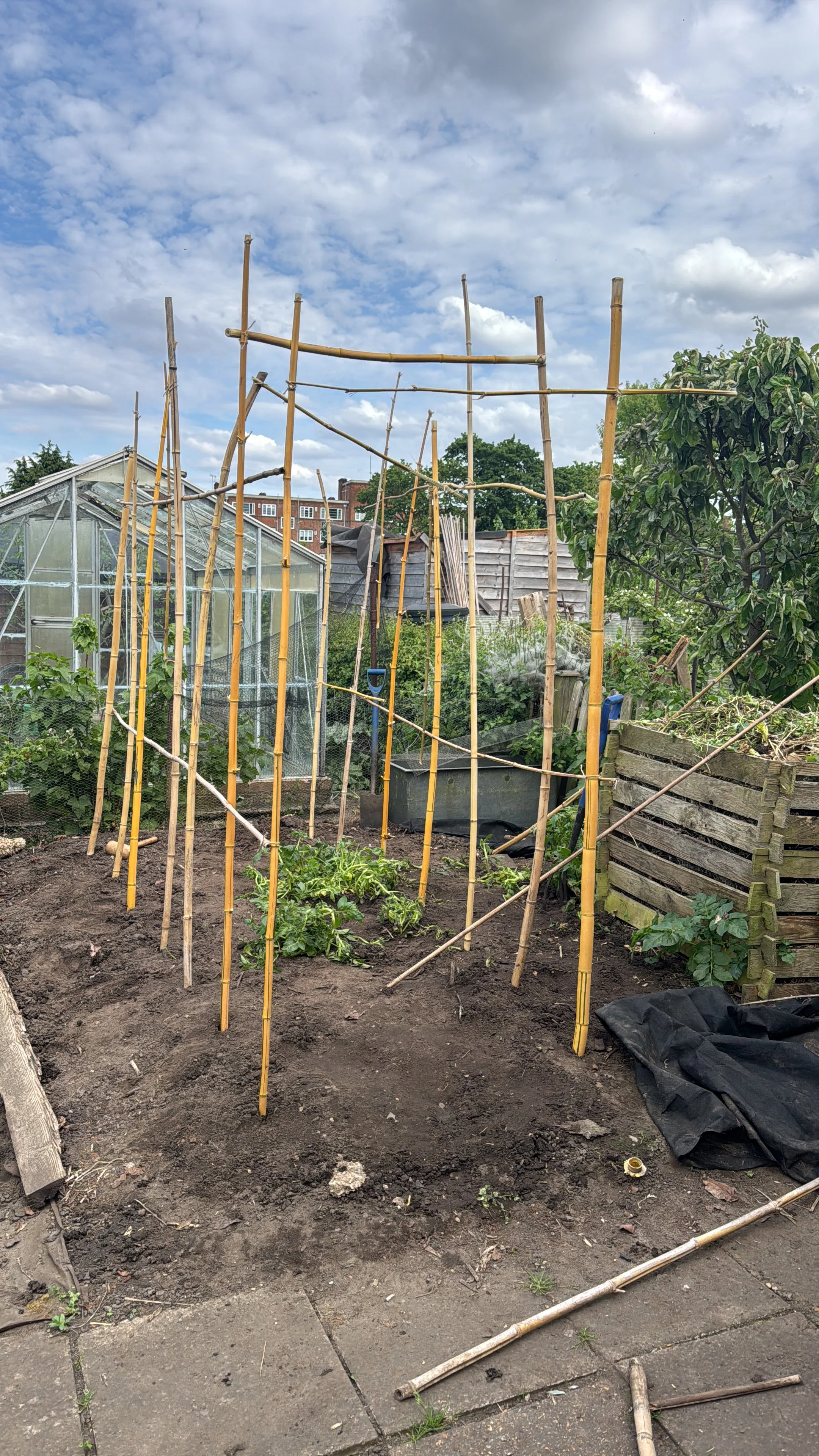 Vegetable garden or allotment showing stakes for growing vegetables such as runner beans to encourage outdoor activity