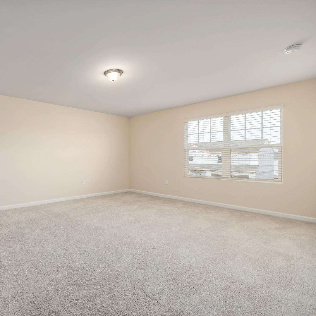 Empty beige carpeted room with a window, white walls, and a ceiling light.