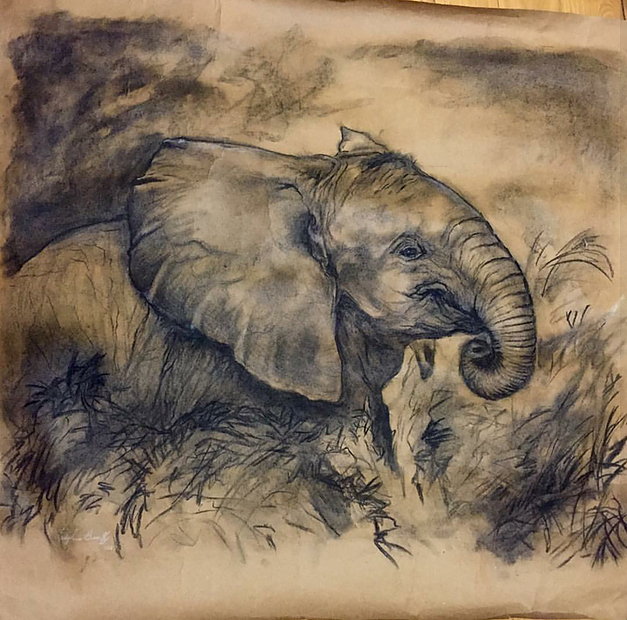 elefant.png