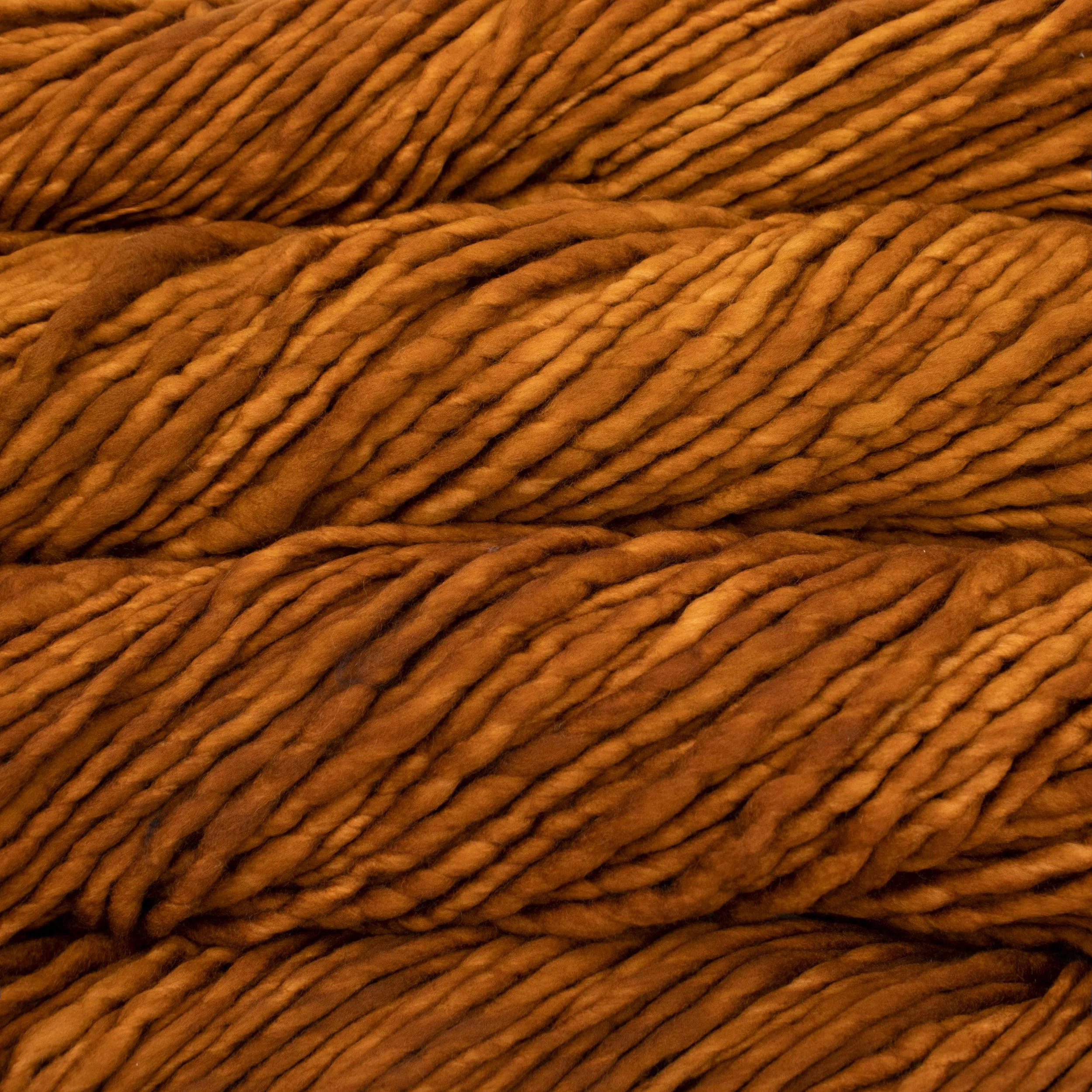 Malabrigo Rasta - Carmel