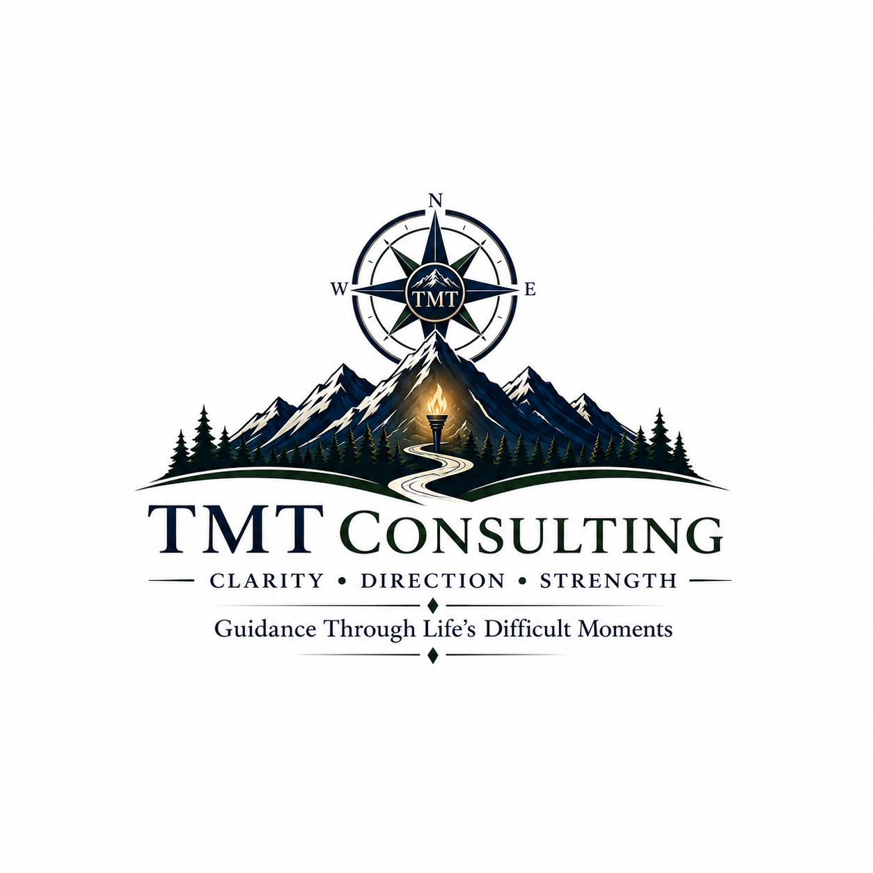 TMT Consulting