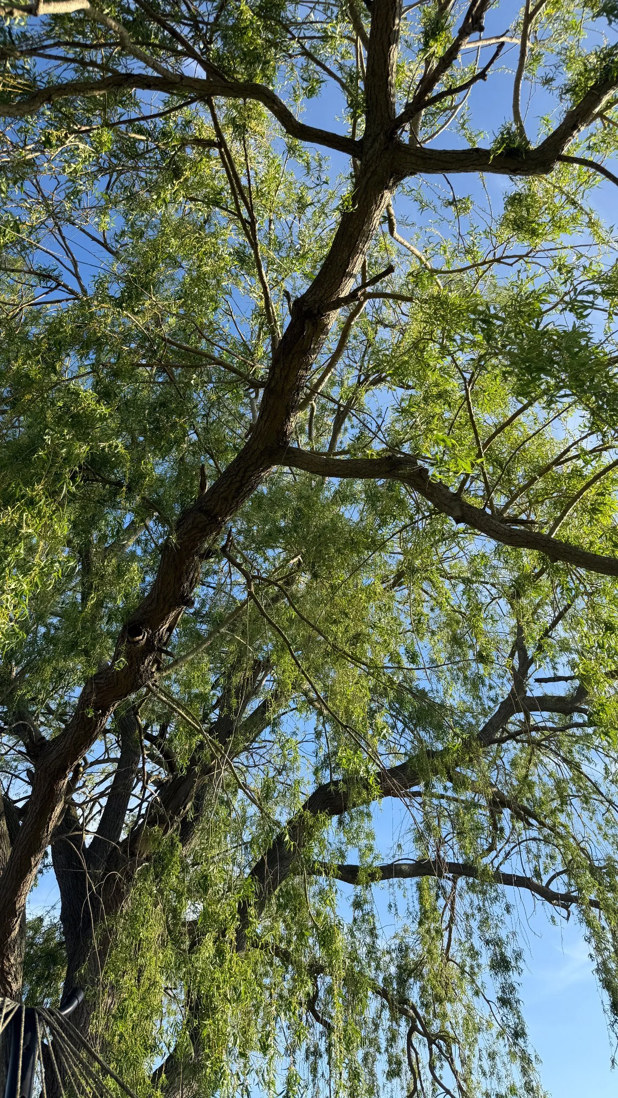 E347FD3D-E5B4-4901-8743-EBB4B477841B.JPG