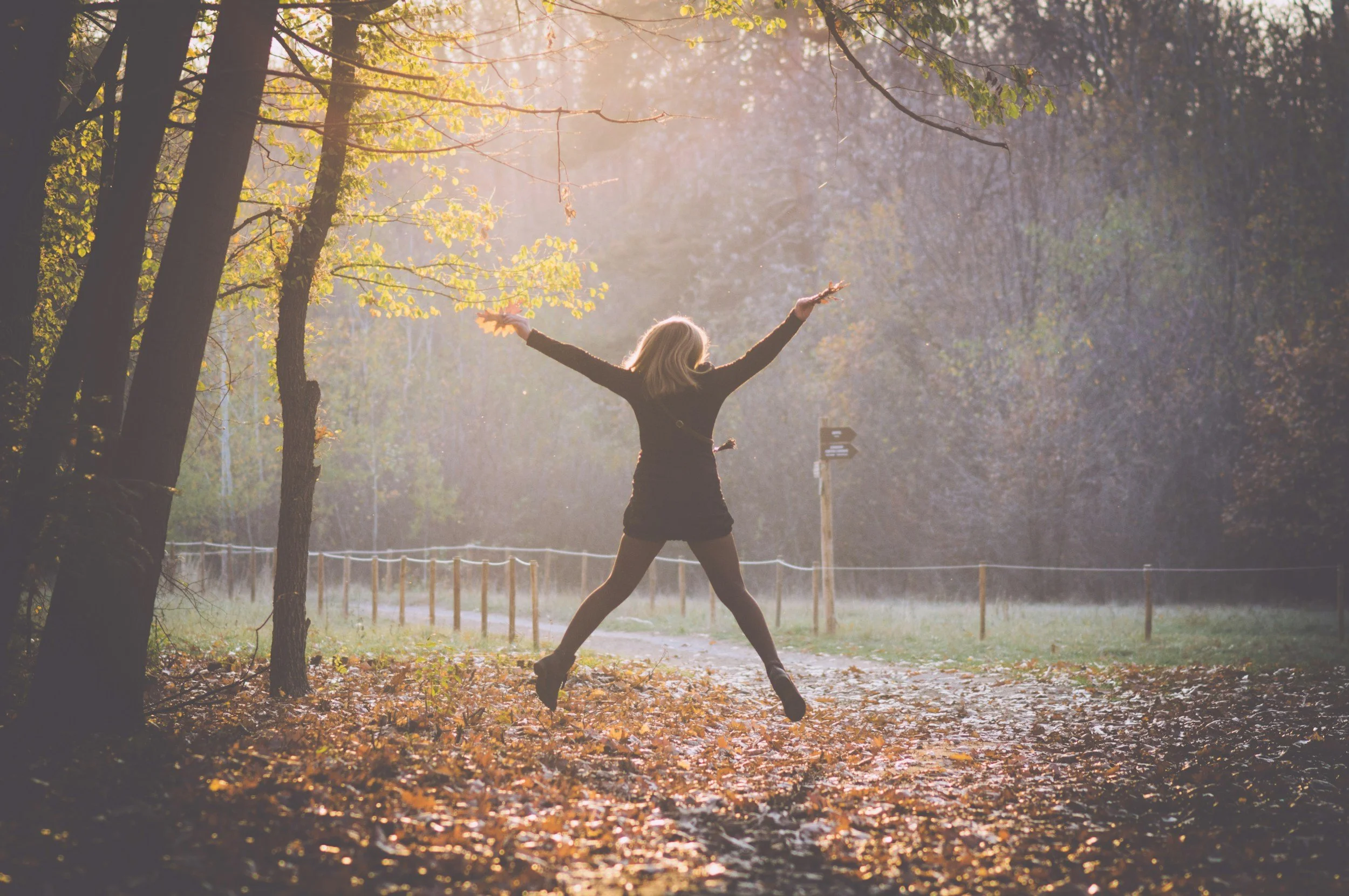 A person with long blonde hair in a black coat and beige tights standing outdoors on a forest path in autumn. The person is raising their arms, and falling leaves are on the ground. The background shows trees illuminated by sunlight.